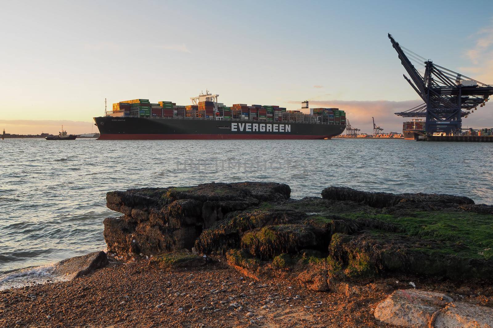 Port of Felixstowe, Suffolk, container ship Ever Gentle with tug boat at dusk by PhilHarland