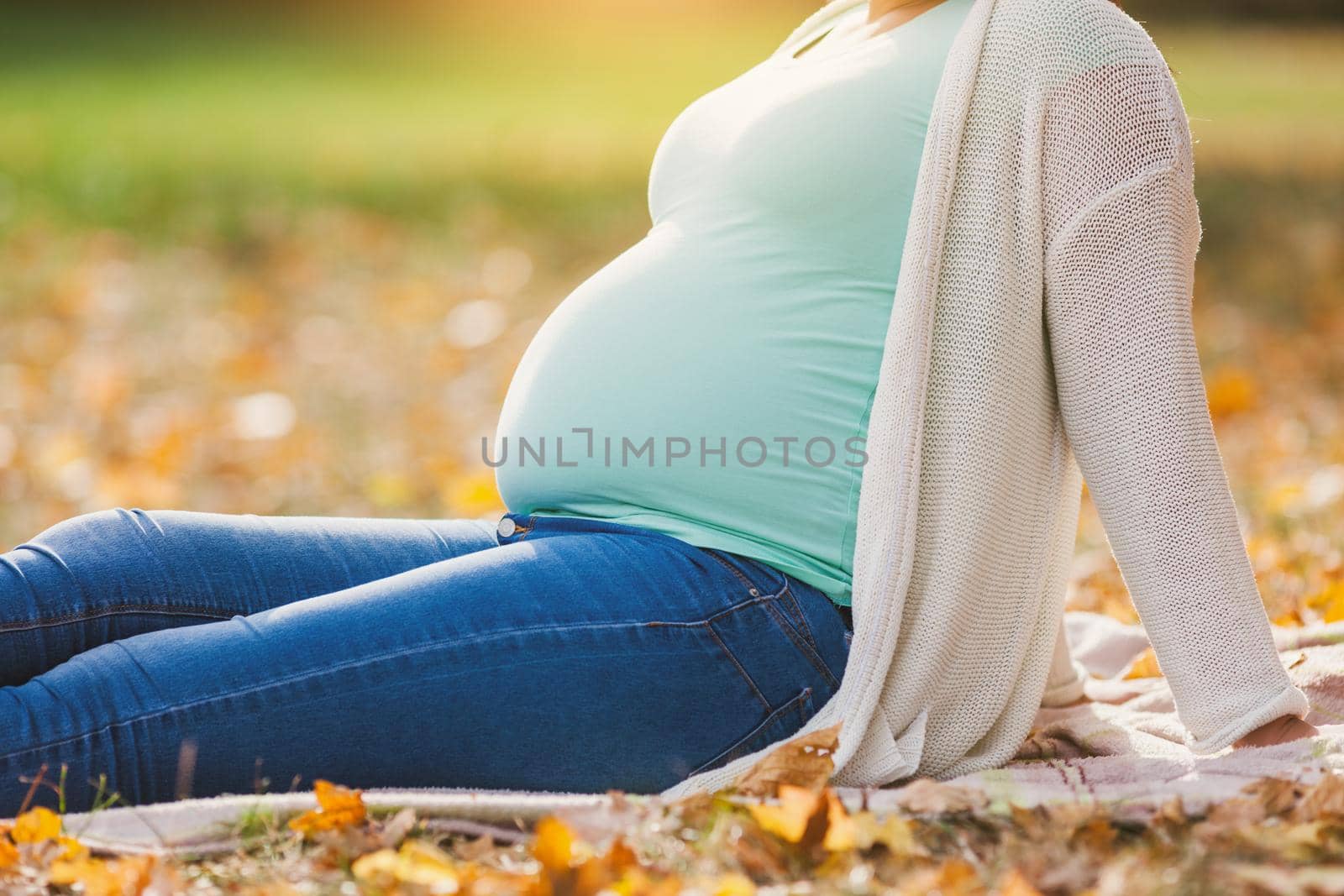 Close up of pregnant woman holding her belly in park.