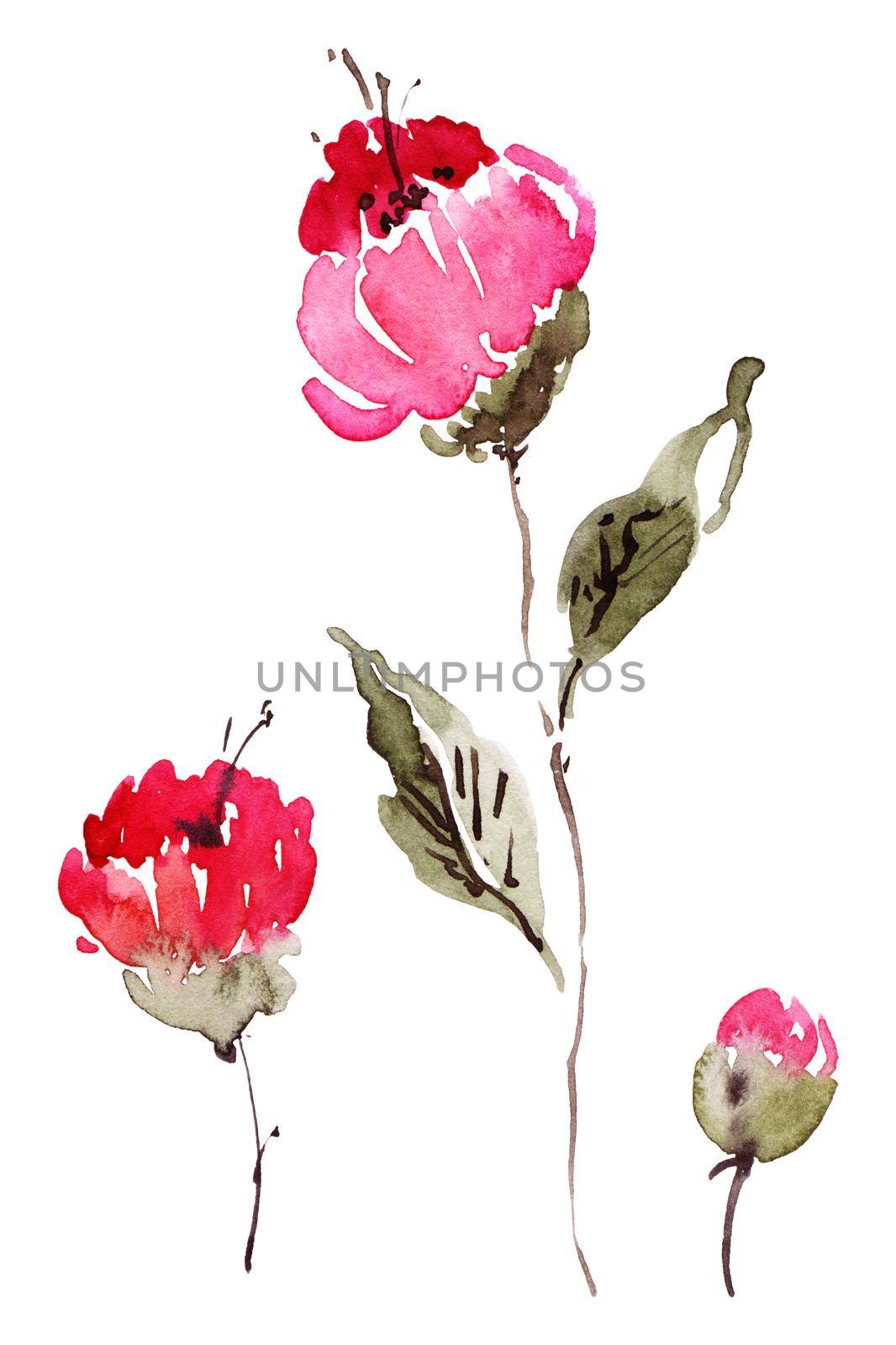 Set of flowers painted by watercolor. Isolated illustration on white background.