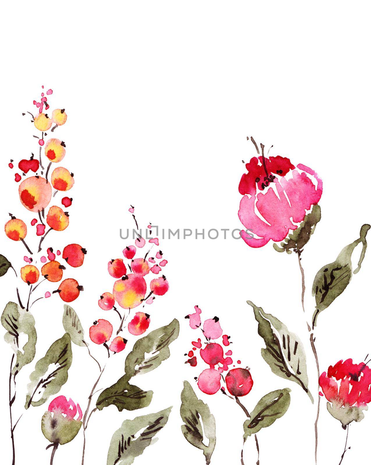 Set of flowers painted by watercolor. Isolated illustration on white background.