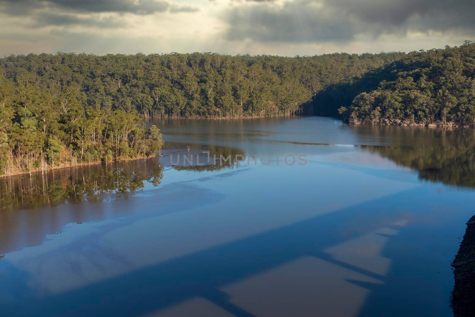 Trees reflecting in a large fresh water reservoir in regional Australia