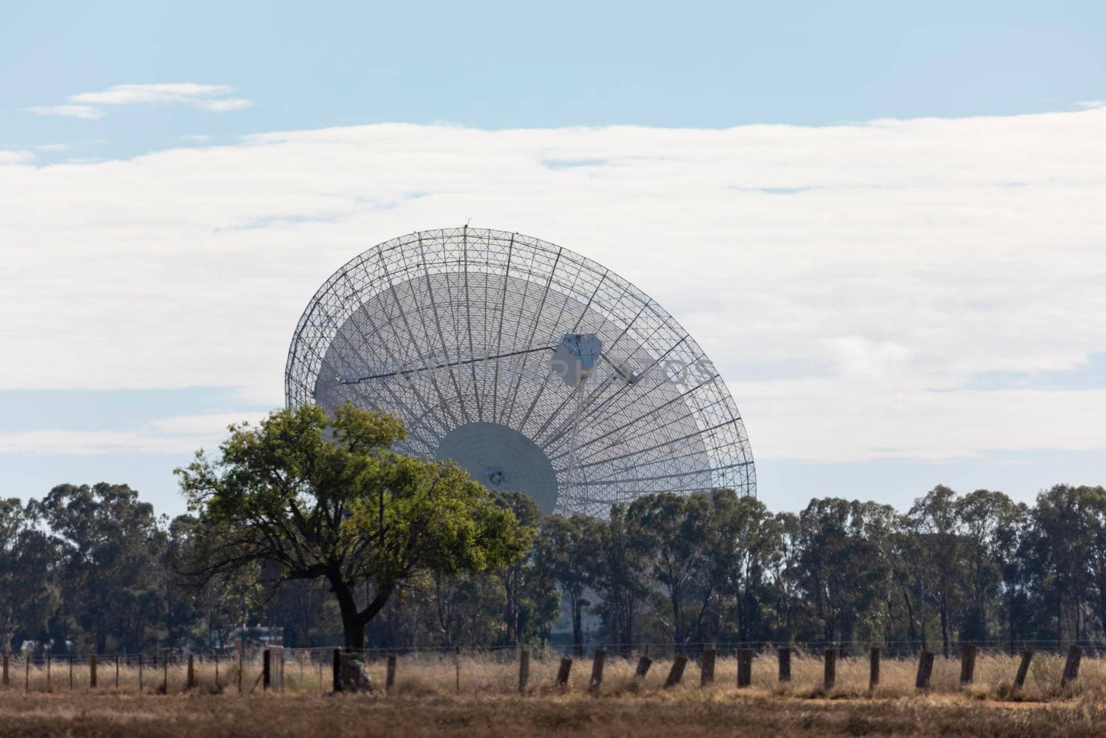 A large outdoor scientific radio telescope by WittkePhotos