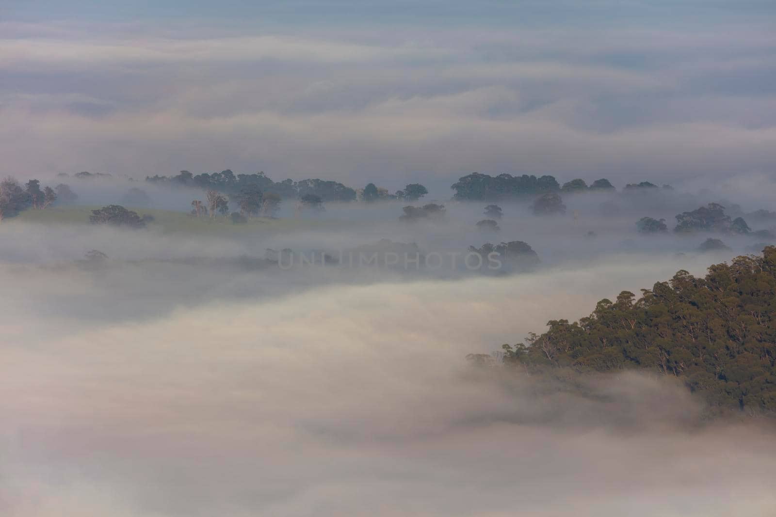 Fog in the Megalong Valley in The Blue Mountains in New South Wales in Australia