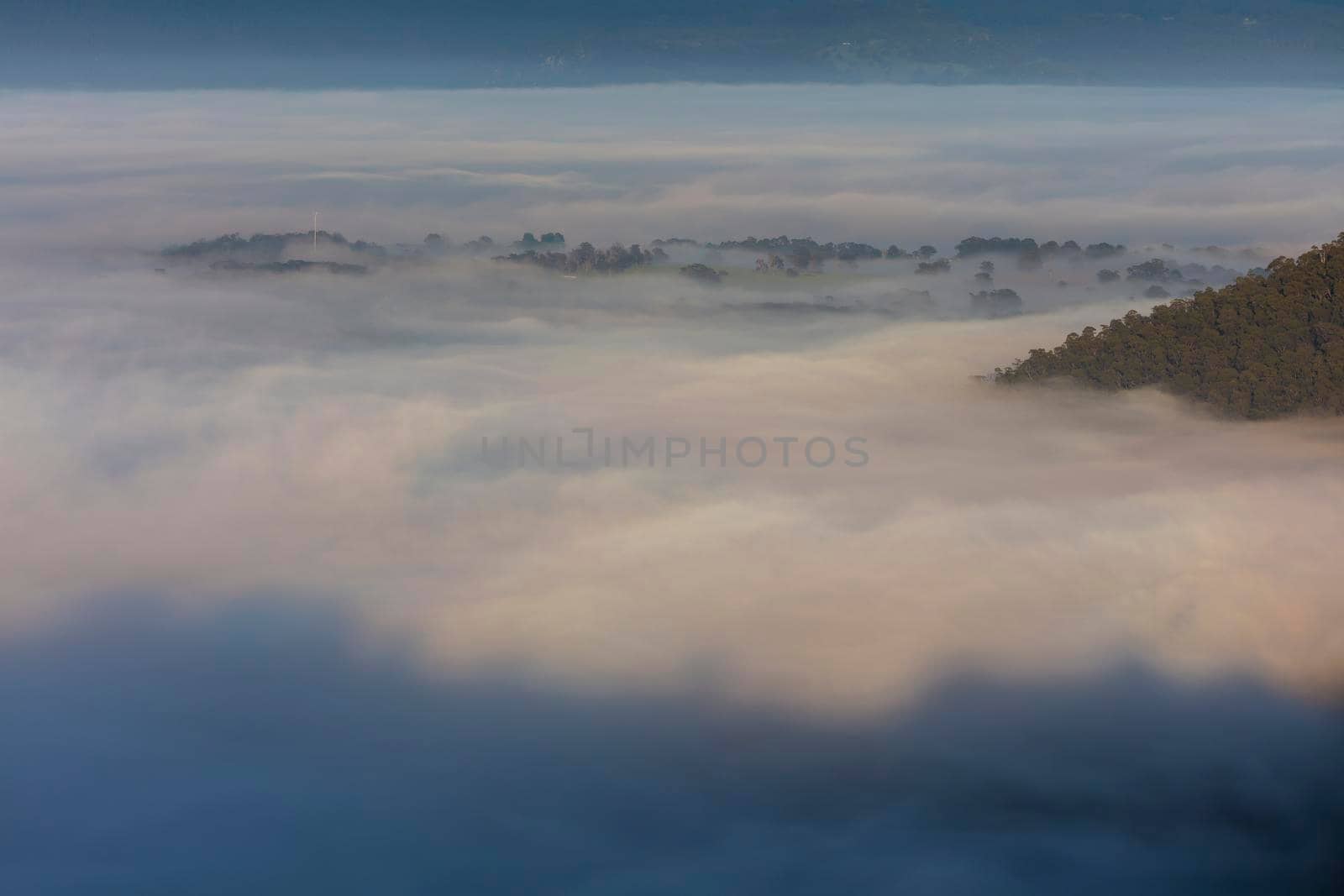 Fog in the Megalong Valley in The Blue Mountains in Australia by WittkePhotos