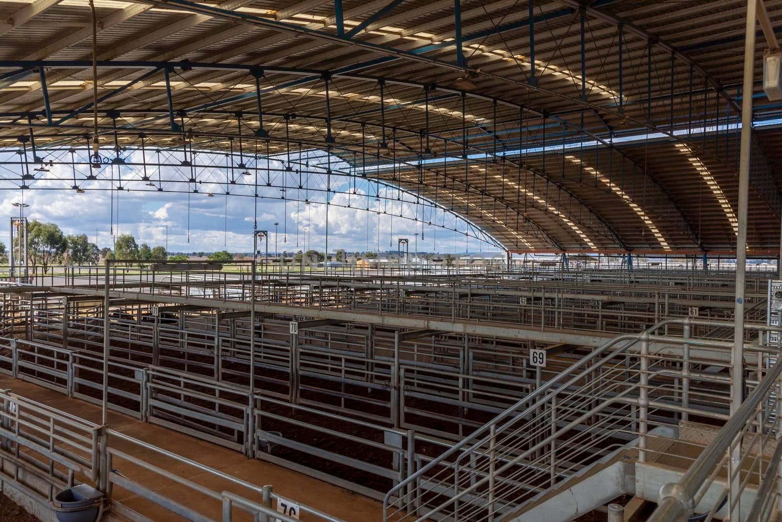 The Central West Livestock Exchange near Forbes in regional Australia by WittkePhotos