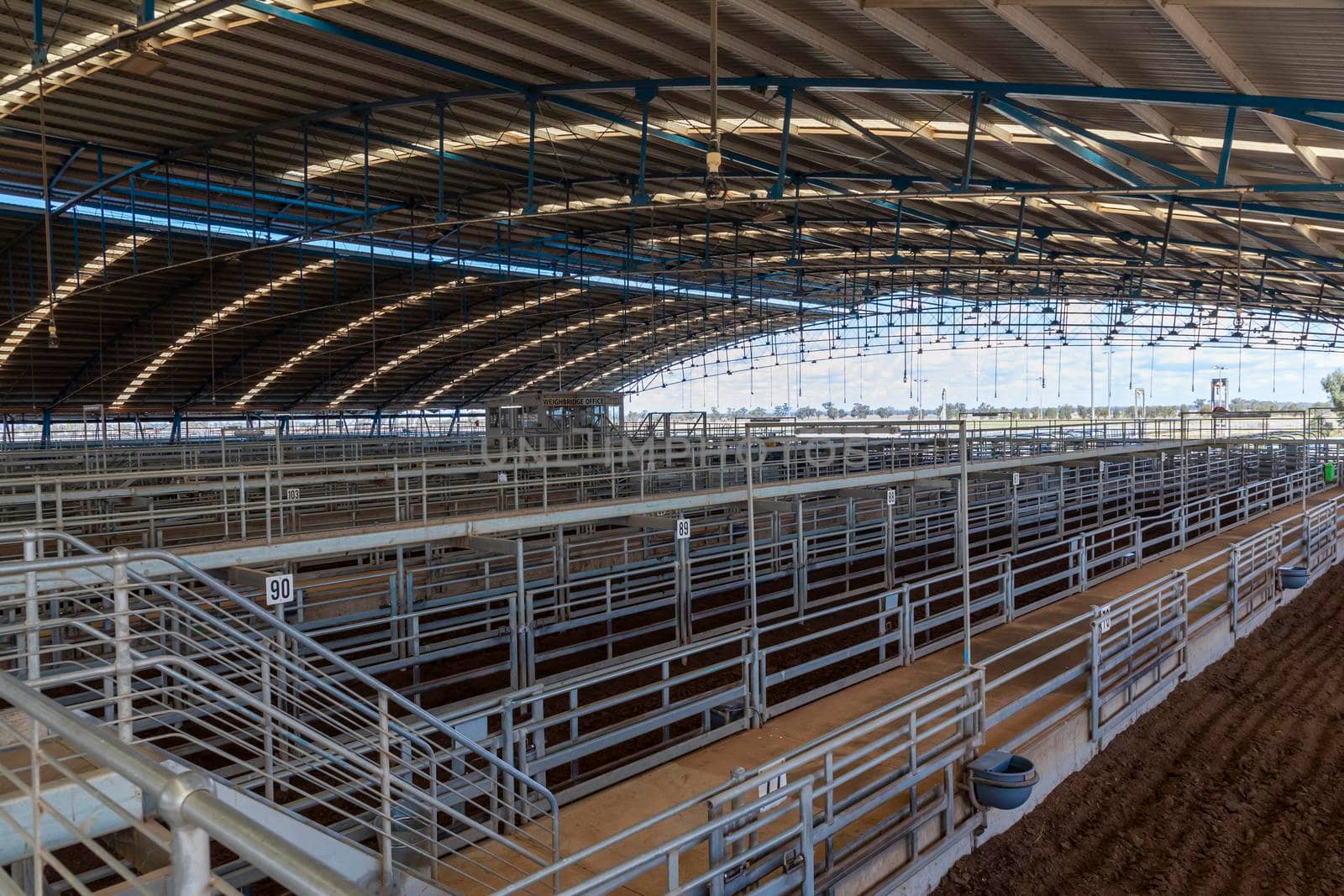 The Central West Livestock Exchange sale yards near Forbes in regional New South Wales in Australia
