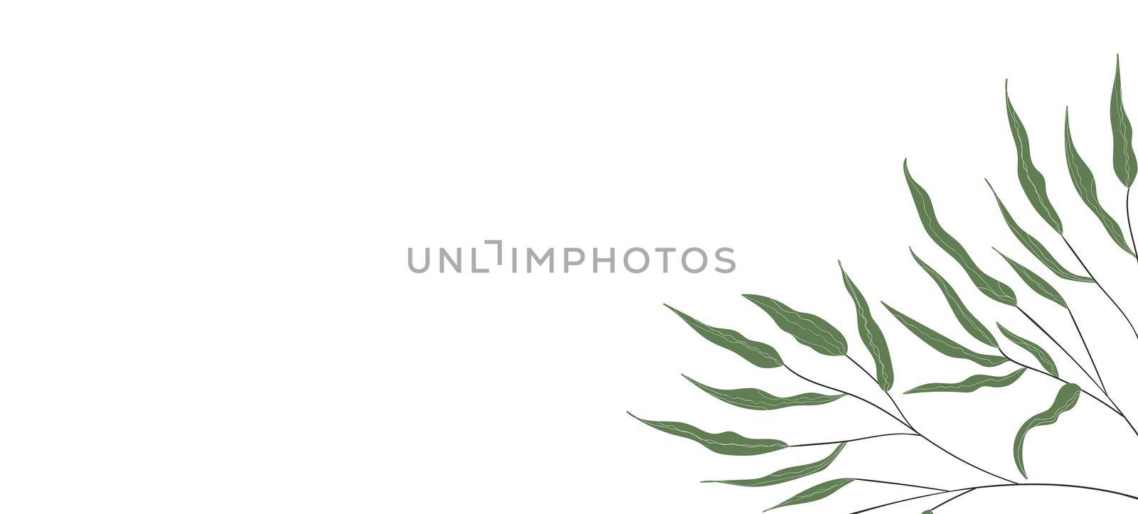 Floral web banner with drawn color exotic leaves. Nature concept design. Modern floral compositions with summer branches. Vector illustration on the theme of ecology, natura, environment.