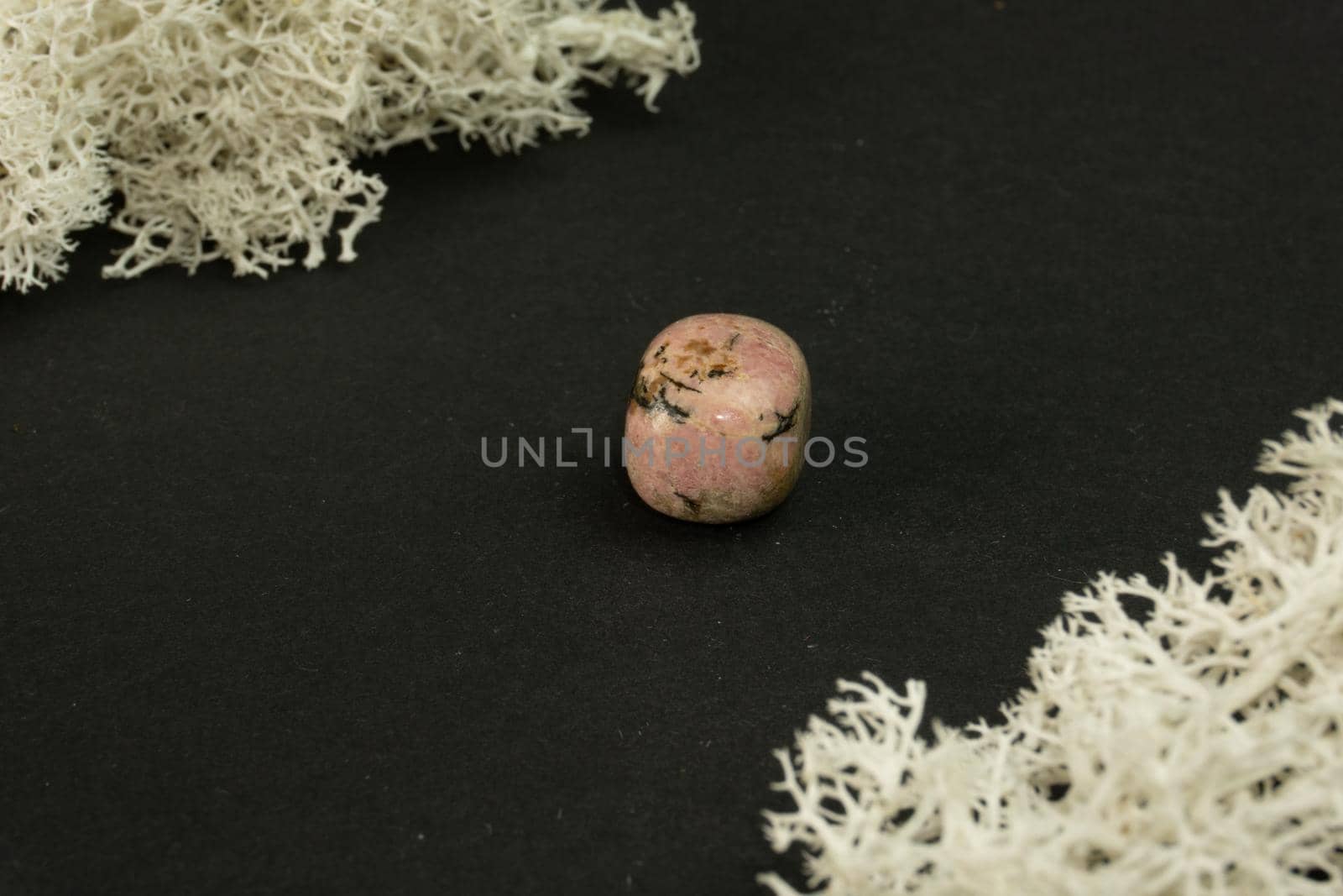 Rhodonite from China. Natural mineral stone on a black background surrounded by moss. Mineralogy, geology, magic, semi-precious stones and samples of minerals. Close-up macro photo.