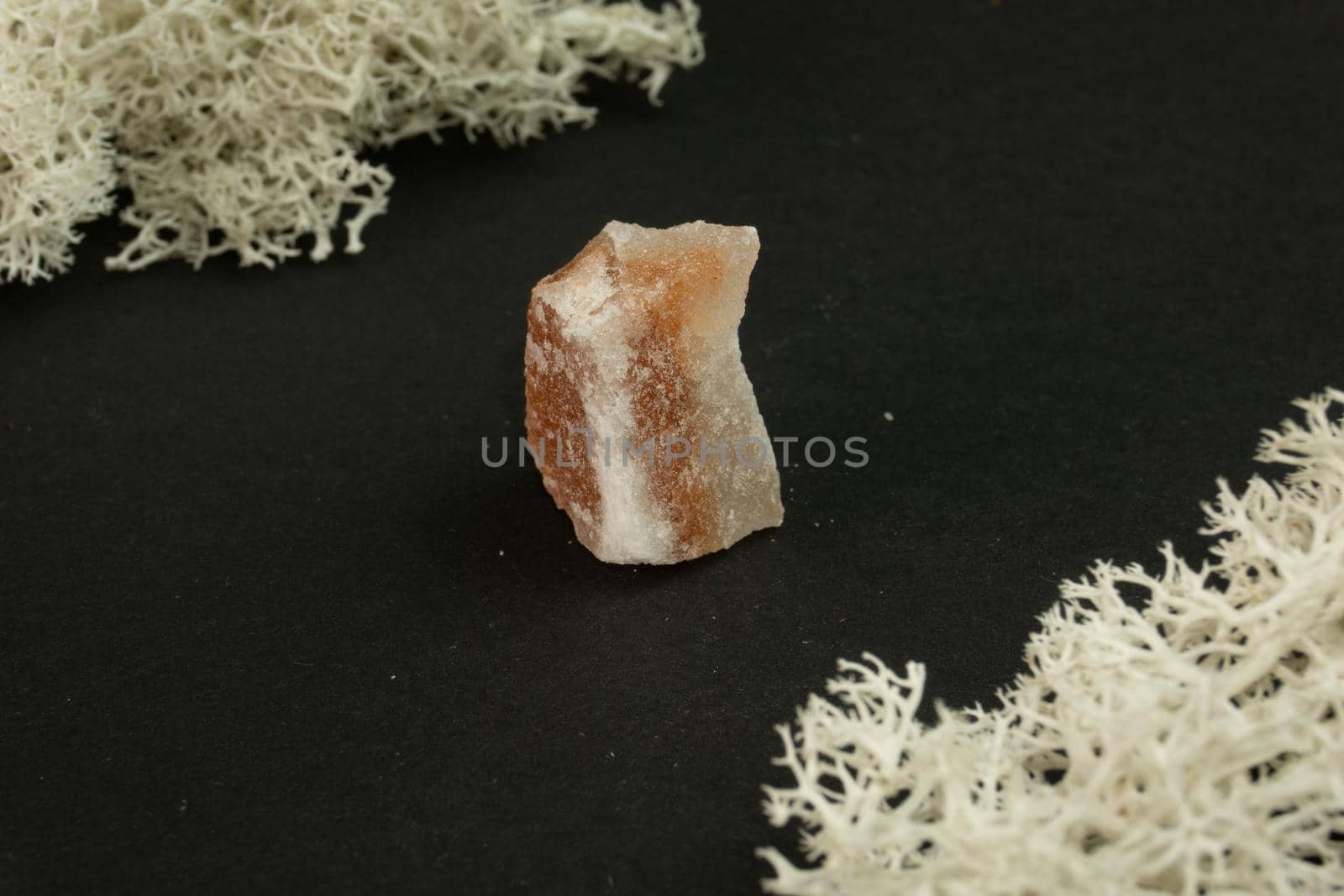 Halite or rock salt from Pakistan. Natural mineral stone on a black background surrounded by moss. Mineralogy, geology, magic, semi-precious stones and samples of minerals. Close-up macro photo.