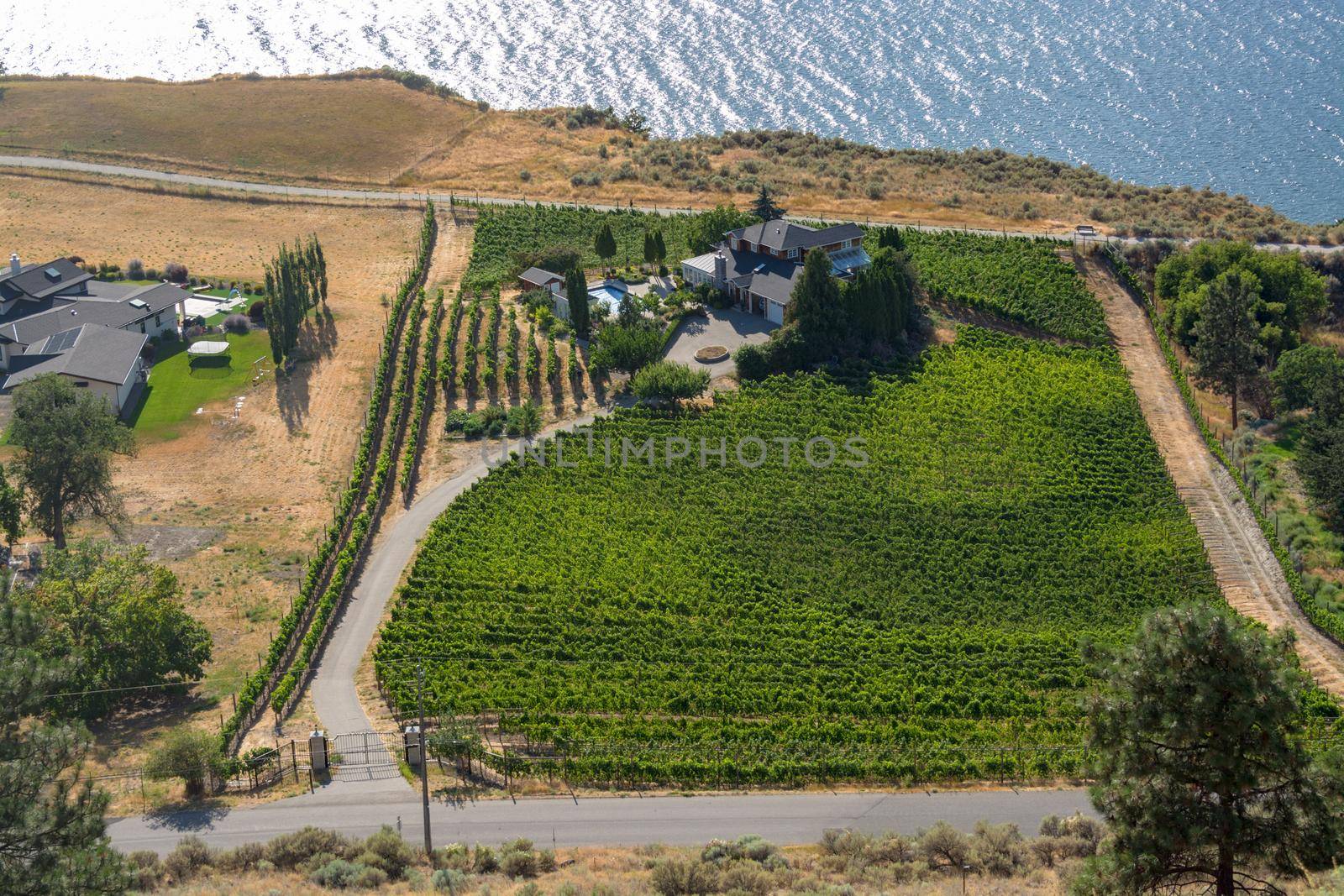 Landscape overview with farmer's house at Okanagan lake on sunny summer day