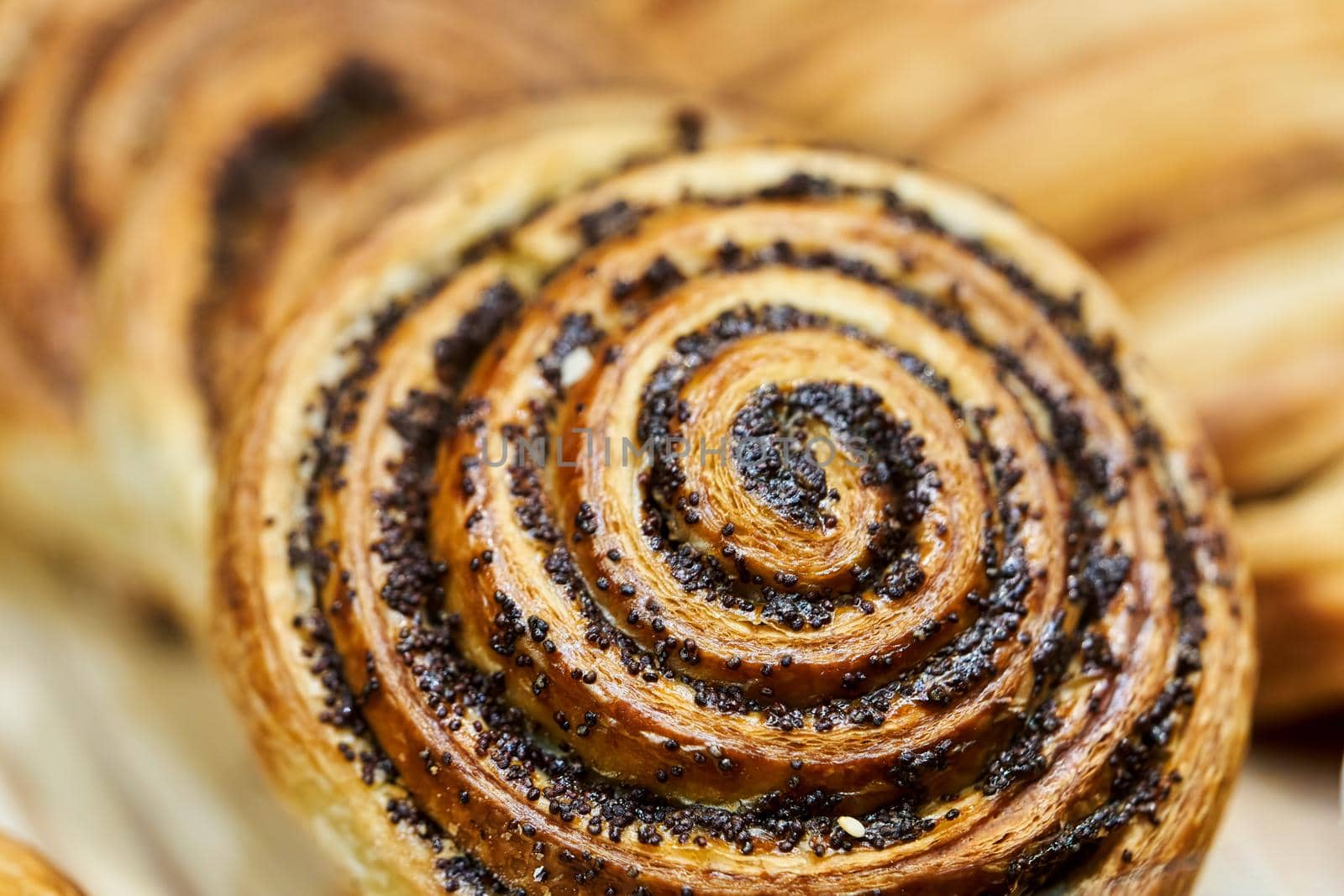 Spiral shaped poppy seed bun close up on the background of other buns