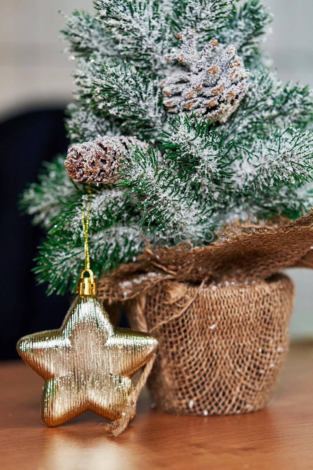 A small Christmas tree with cones sprinkled with snow and decorated with a toy gold star stands on a table in a flower pot