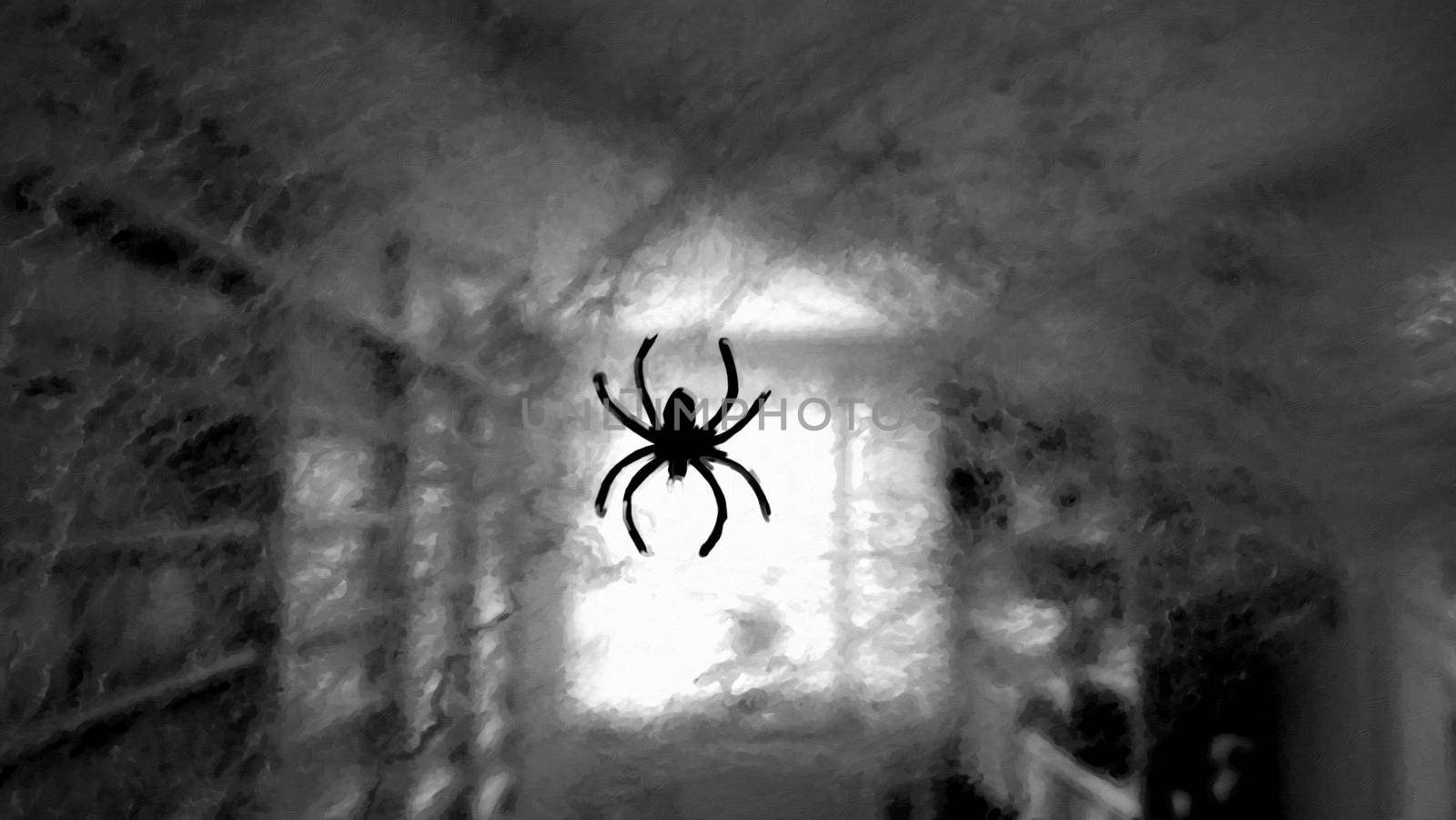 A spider comes down with its web. Digital painting style in black and white. by Jamaladeen