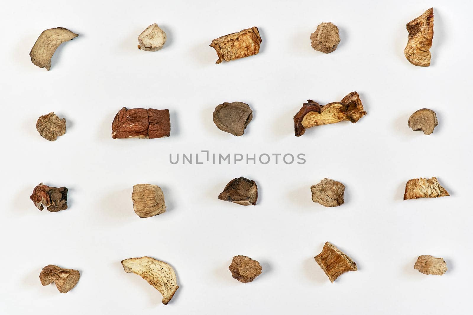 Pieces of dried mushrooms on a light background are laid out in straight lines. View from above