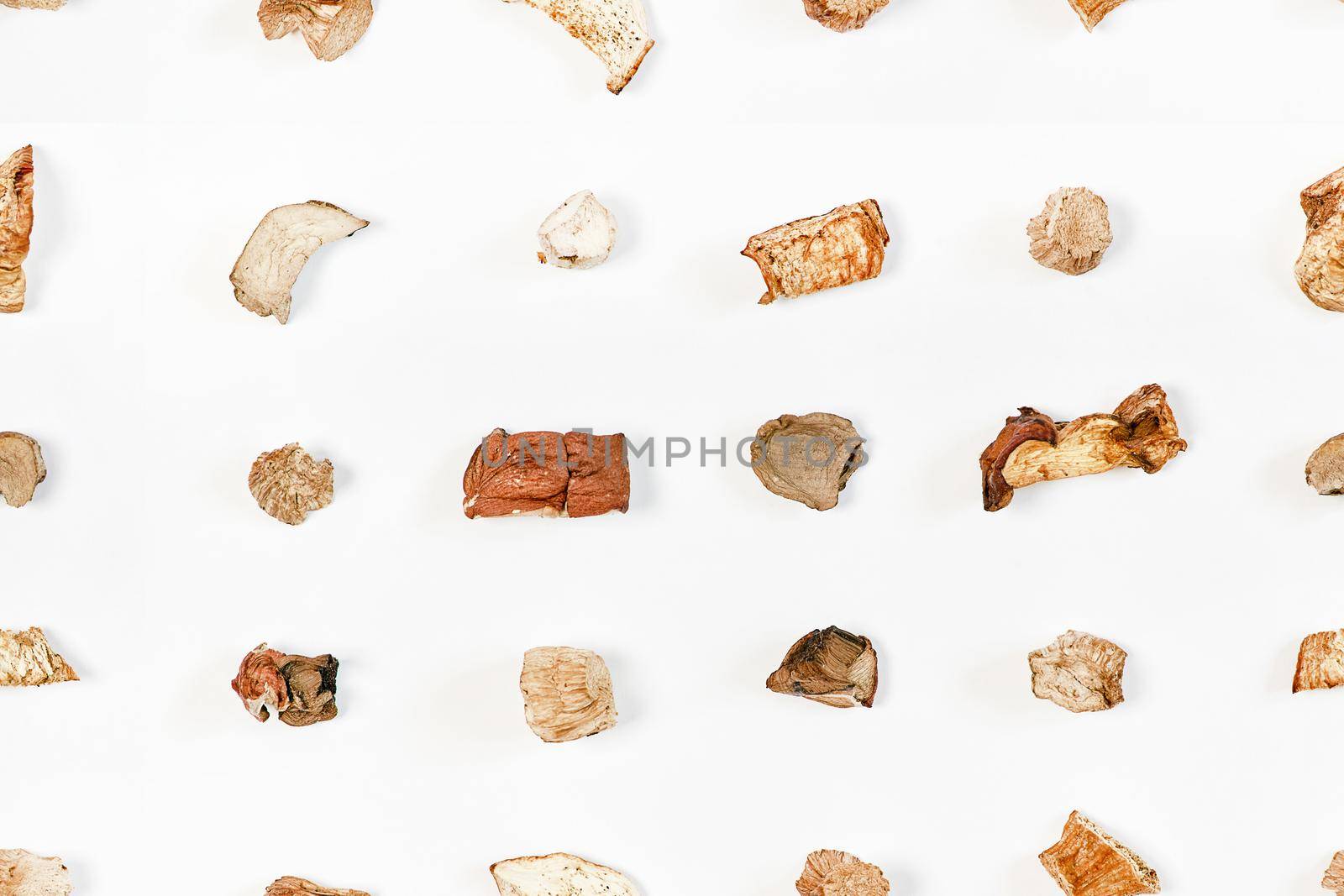 Seamless pattern from pieces of dried mushrooms scattered by lines on a light background. View from above