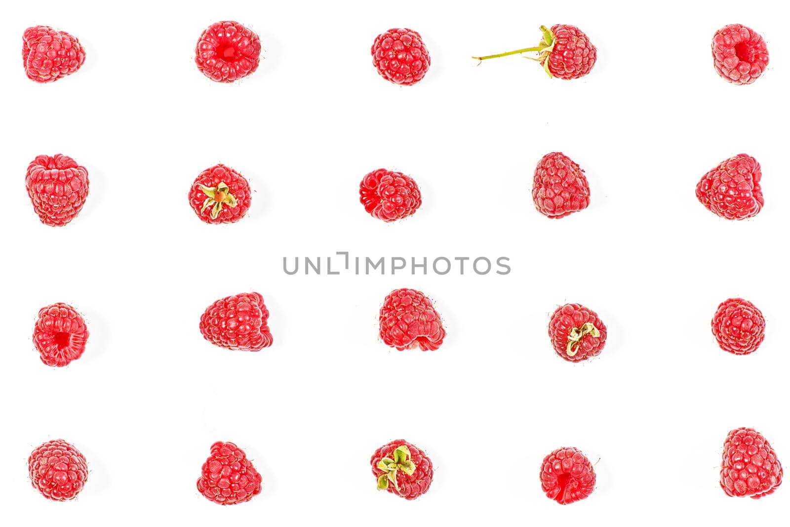 Raspberry berries laid out in lines on a white background in various poses by vizland