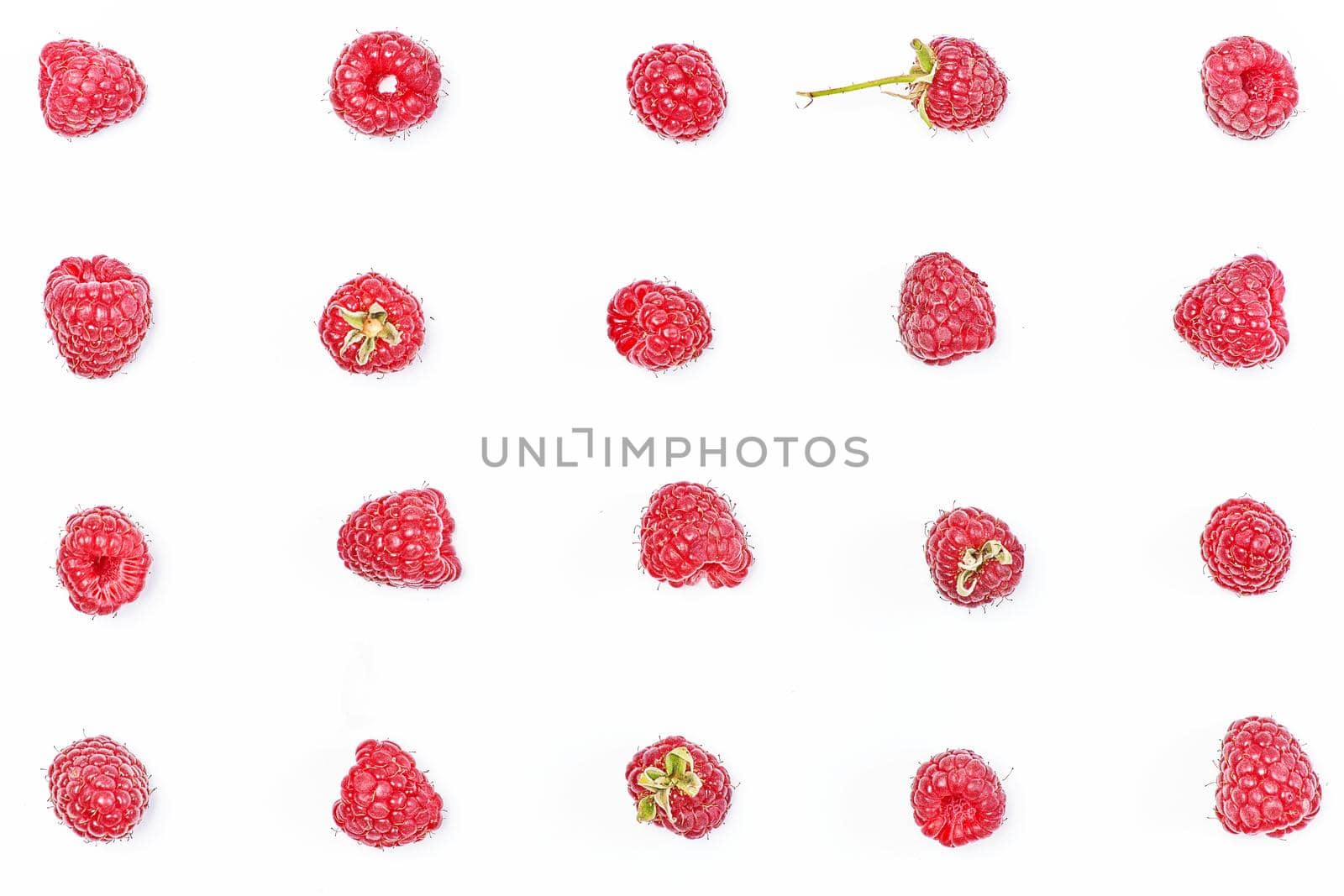 Raspberry berries laid out in lines on a white background in various poses by vizland