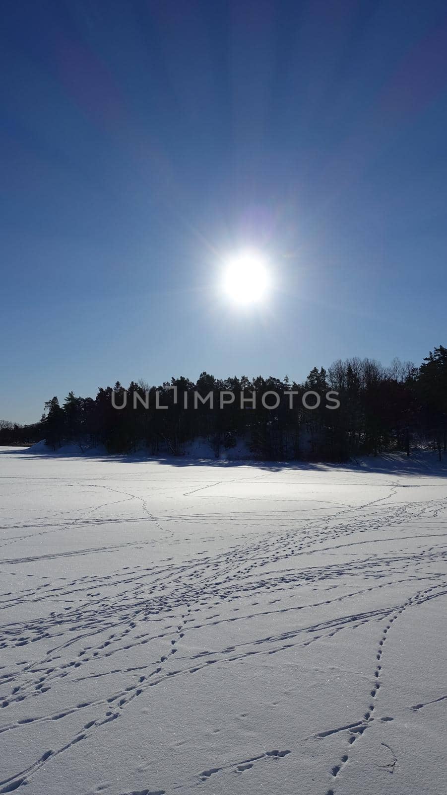 The sun shines on a frozen lake in northern Europe on a beautiful morning