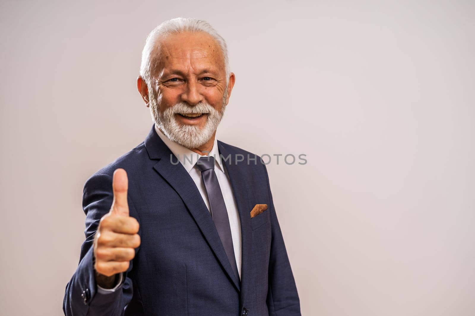 Portrait of happy and successful senior businessman.