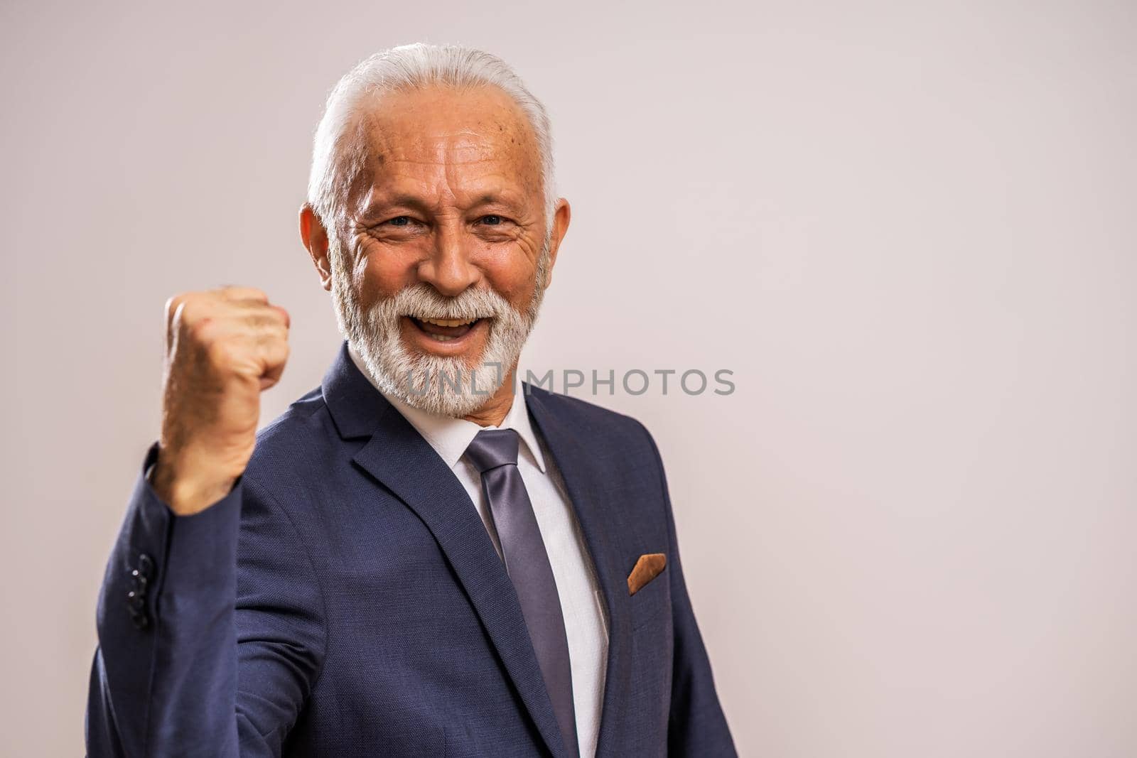 Portrait of happy and successful senior businessman.