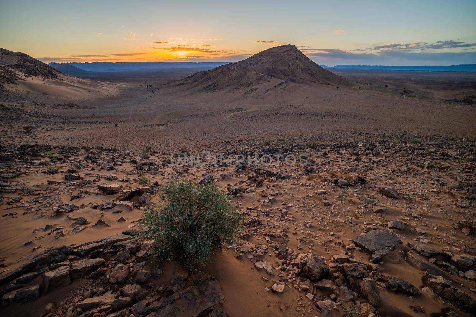 Sahara desert by djoronimo