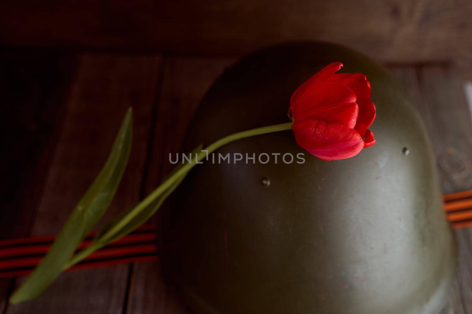 The red tulip flower rests on a soldier's helmet. The pine background. High quality photo