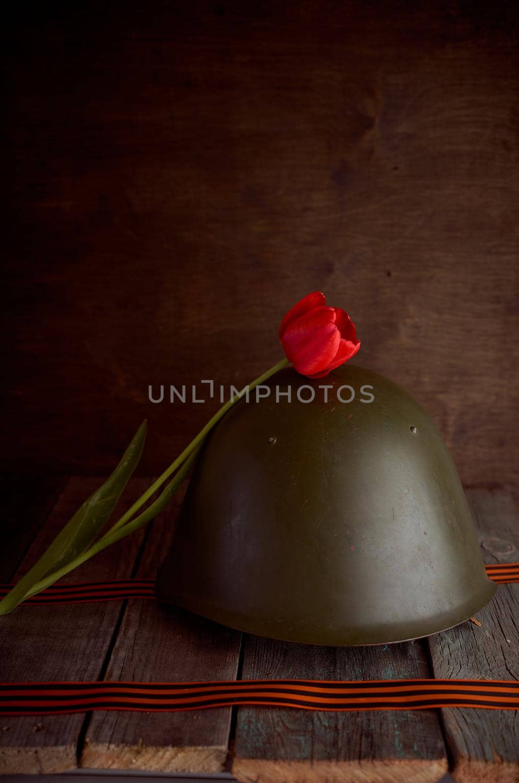 The red tulip flower rests on a soldier's helmet. The pine background. High quality photo