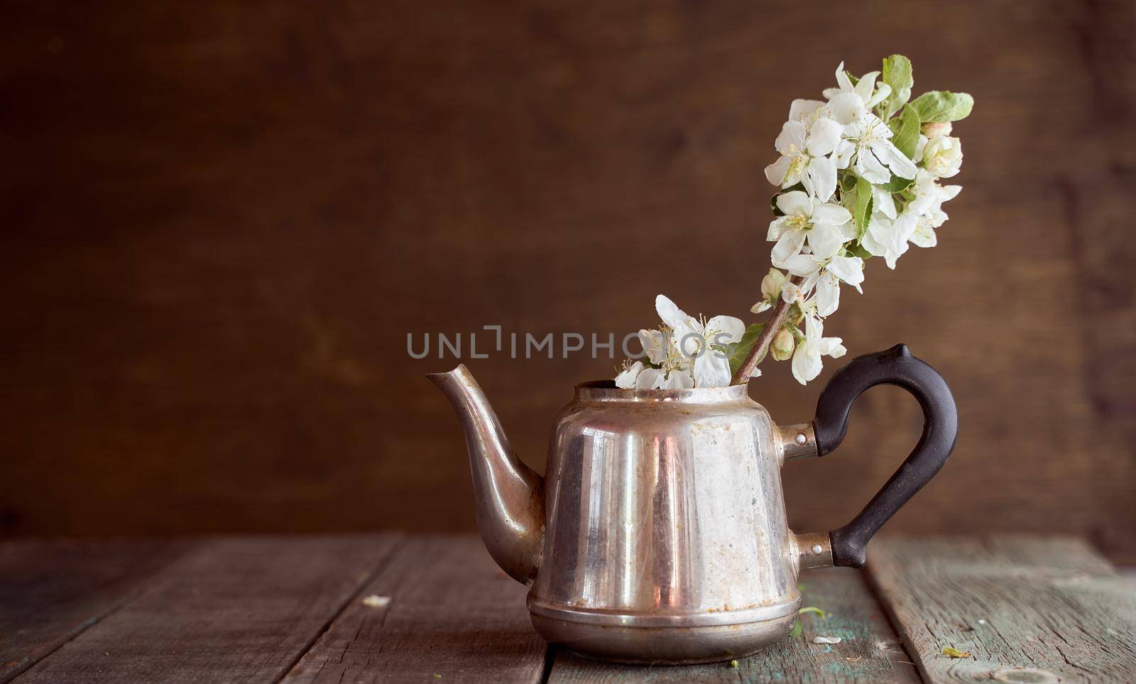 A branch of an apple tree in an iron kettle on a crowning background. With copy space. High quality photo