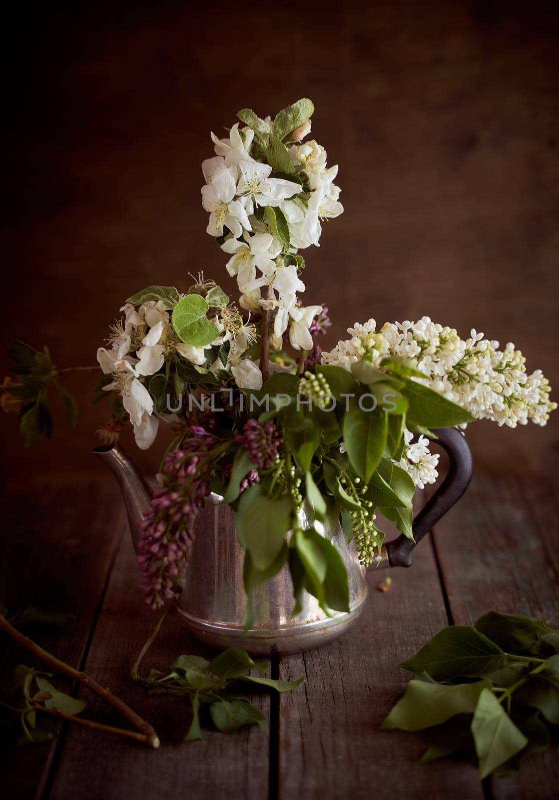 branches with white apple blossoms in an iron teapot on a brown background. High quality photo