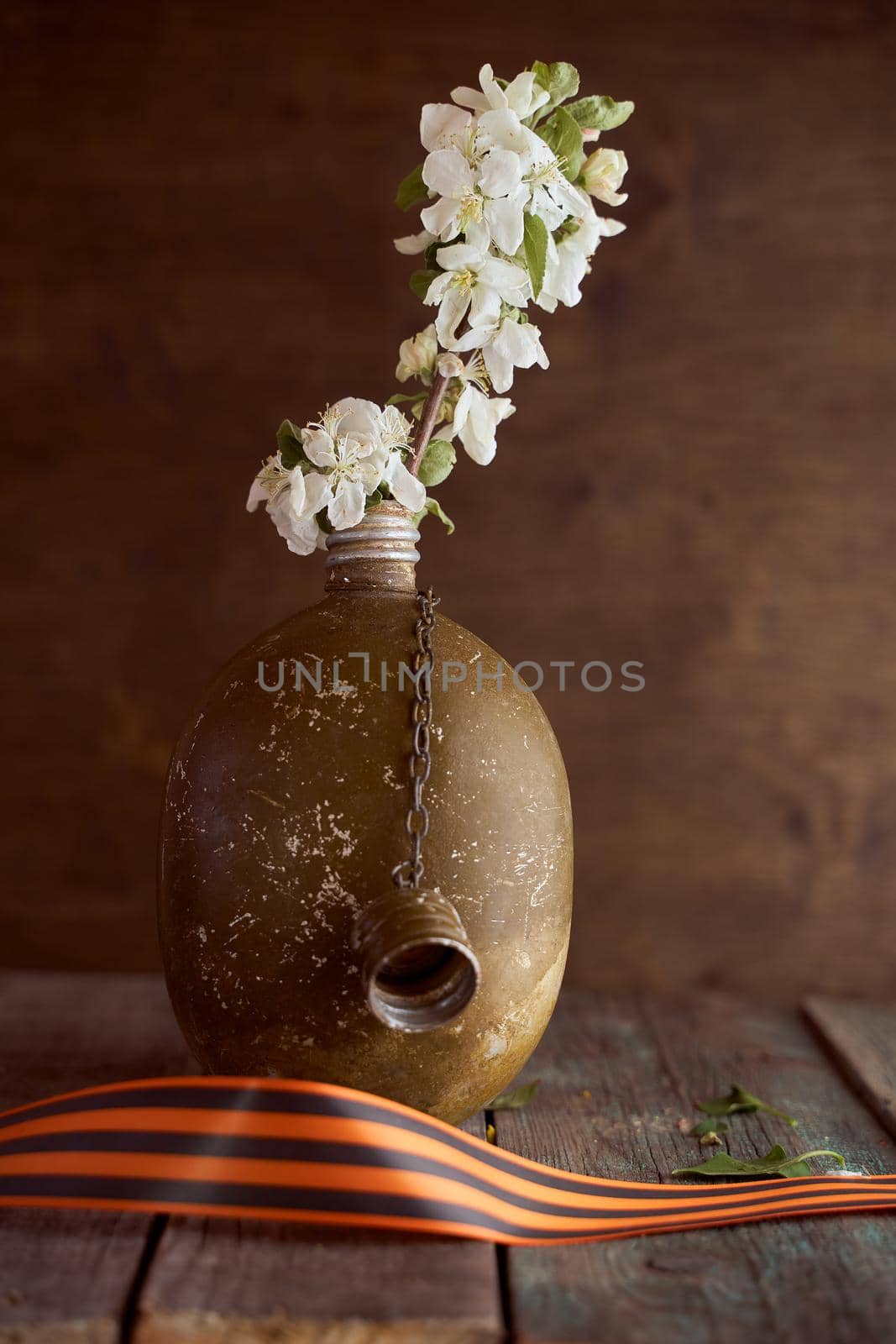 A sprig of an apple tree in a soldier's flask on a brown background. Photo by May 9. High quality photo