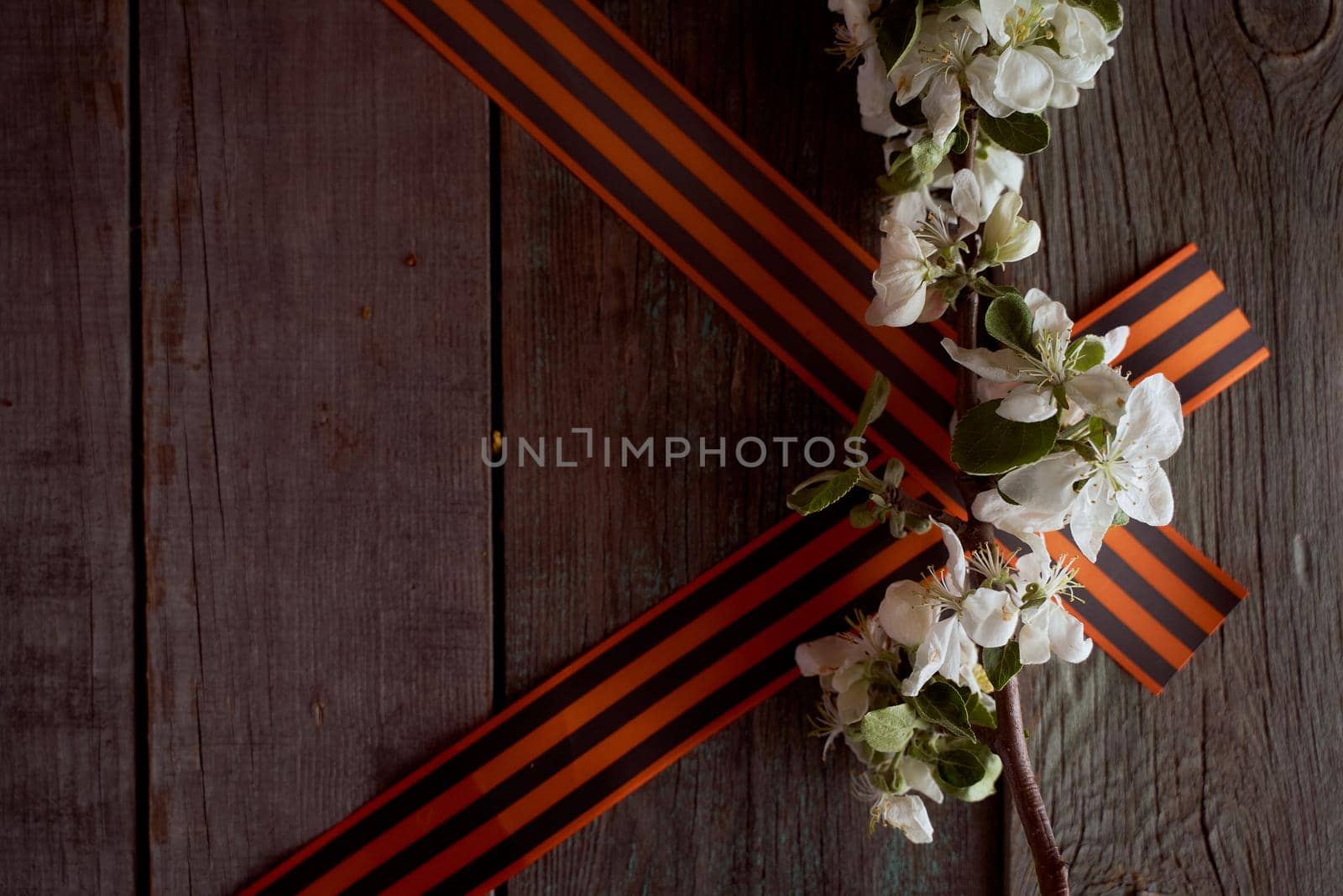 St. George ribbons in the form of a triangle with apple blossoms by Xelar