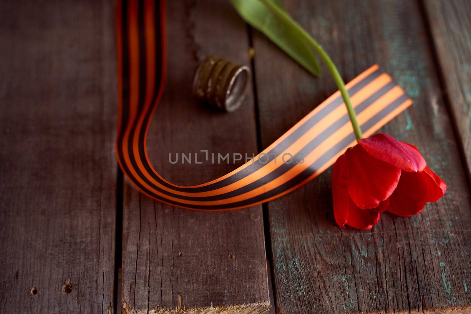 Red tulip in a soldier's military flask with St. George ribbons. High quality photo