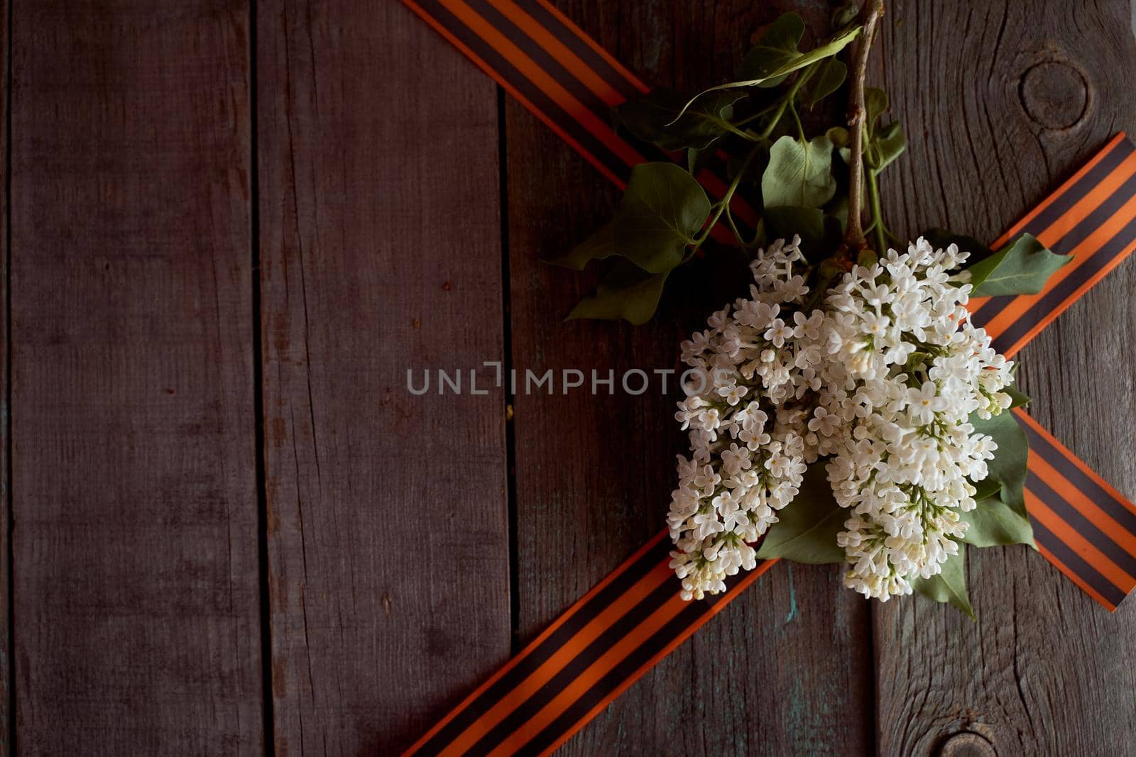 St. George ribbons in the form of a triangle with cherry blossoms. High quality photo