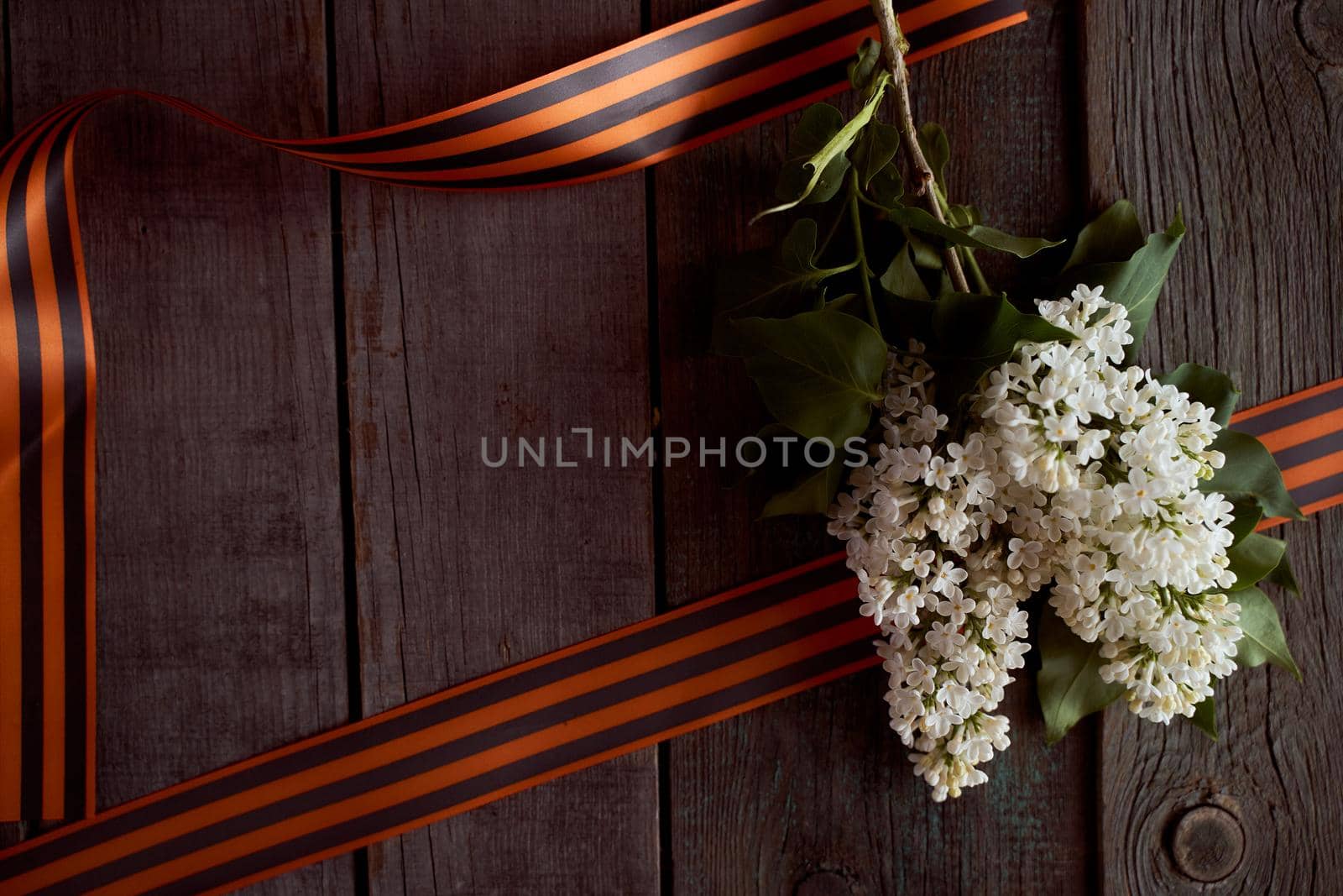 A branch of lilac lies between St. George's ribbons. Victory Day Photos by Xelar