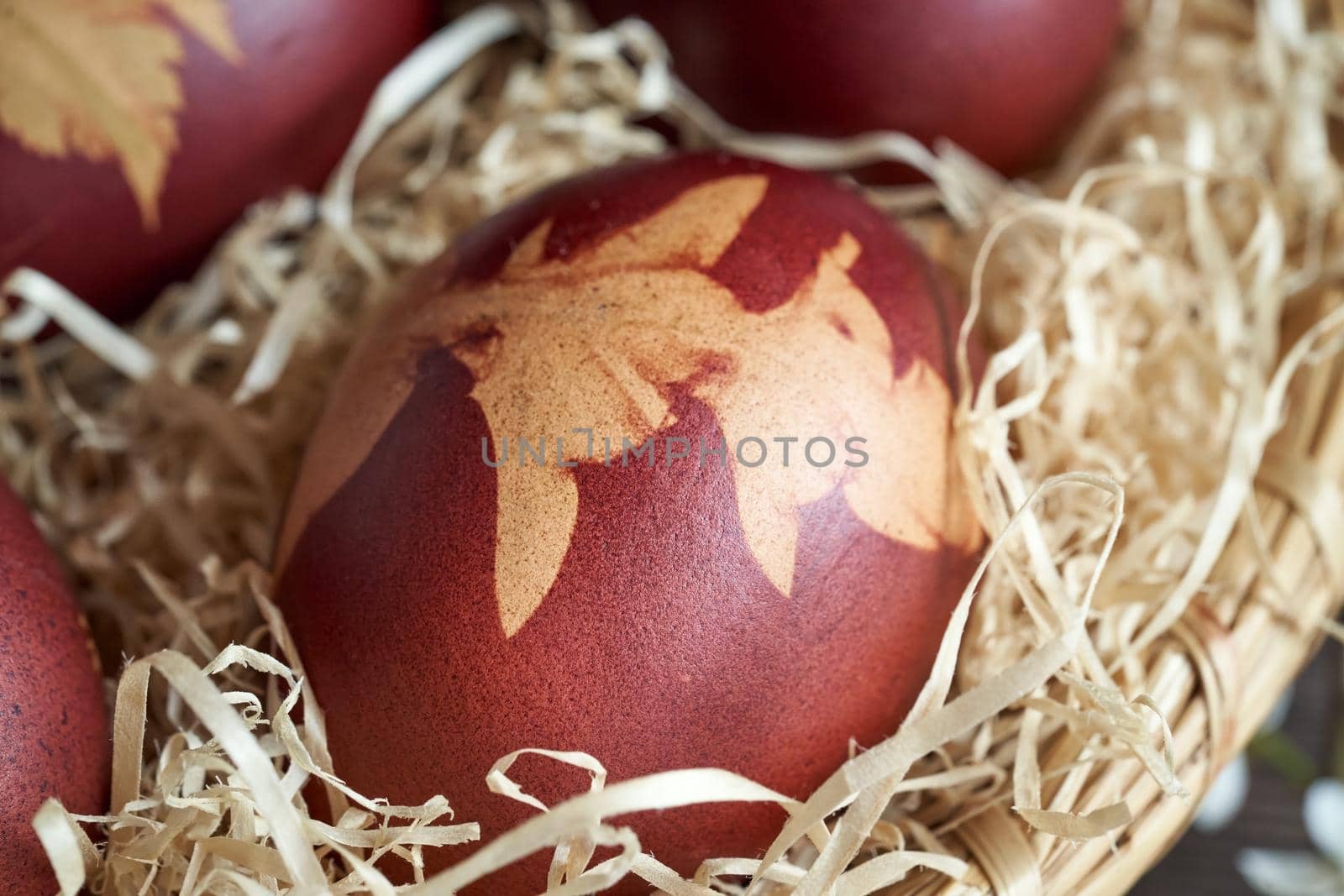 Closeup of an Easter egg dyed with onion peels, with a pattern of a dandelion leaf by madeleine_steinbach