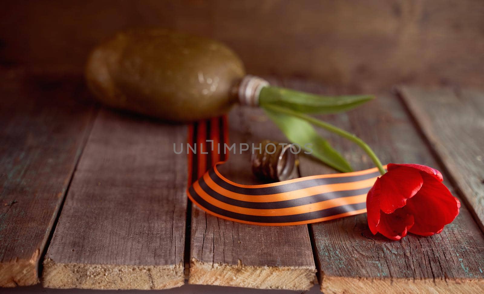 Red tulip in a soldier's military flask with St. George ribbons. High quality photo