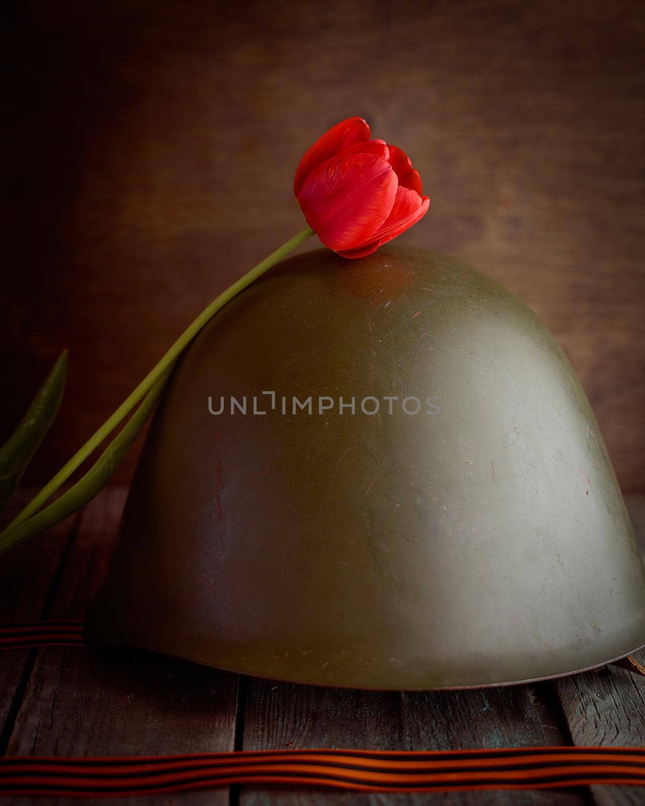 The red tulip flower rests on a soldier's helmet. The pine background. High quality photo