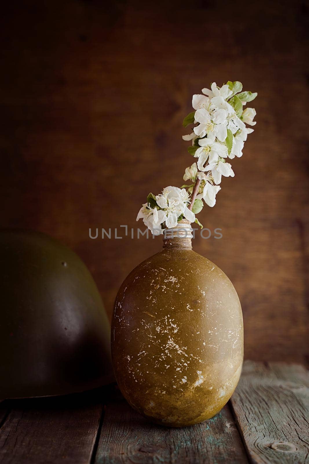 A sprig of an apple tree in a soldier's flask on a brown background. Photo by May 9. High quality photo