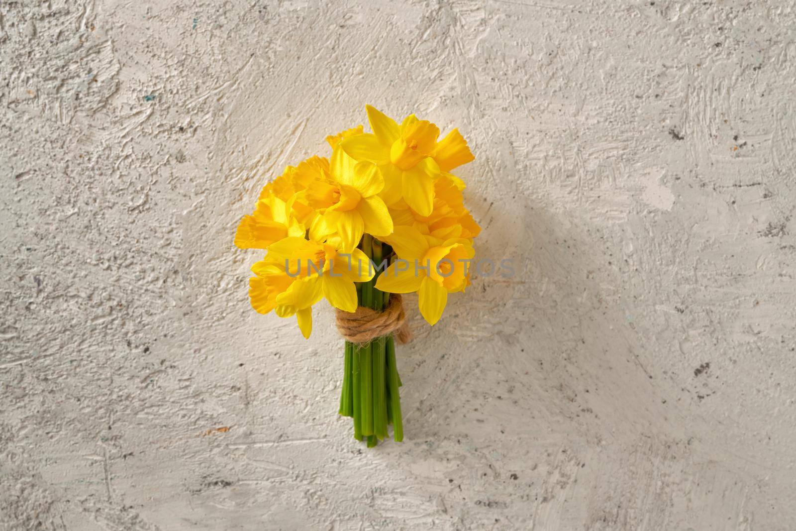 Spring concept - yellow daffodil flowers on white concrete background  by madeleine_steinbach