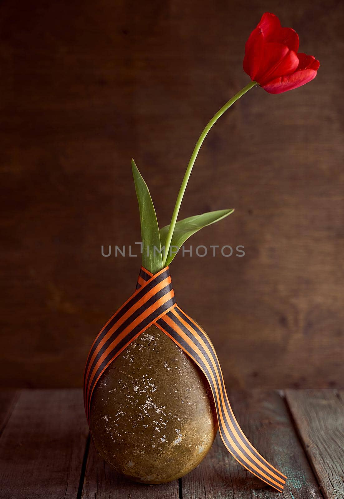 Red tulip in a soldier's military flask with St. George ribbons. High quality photo