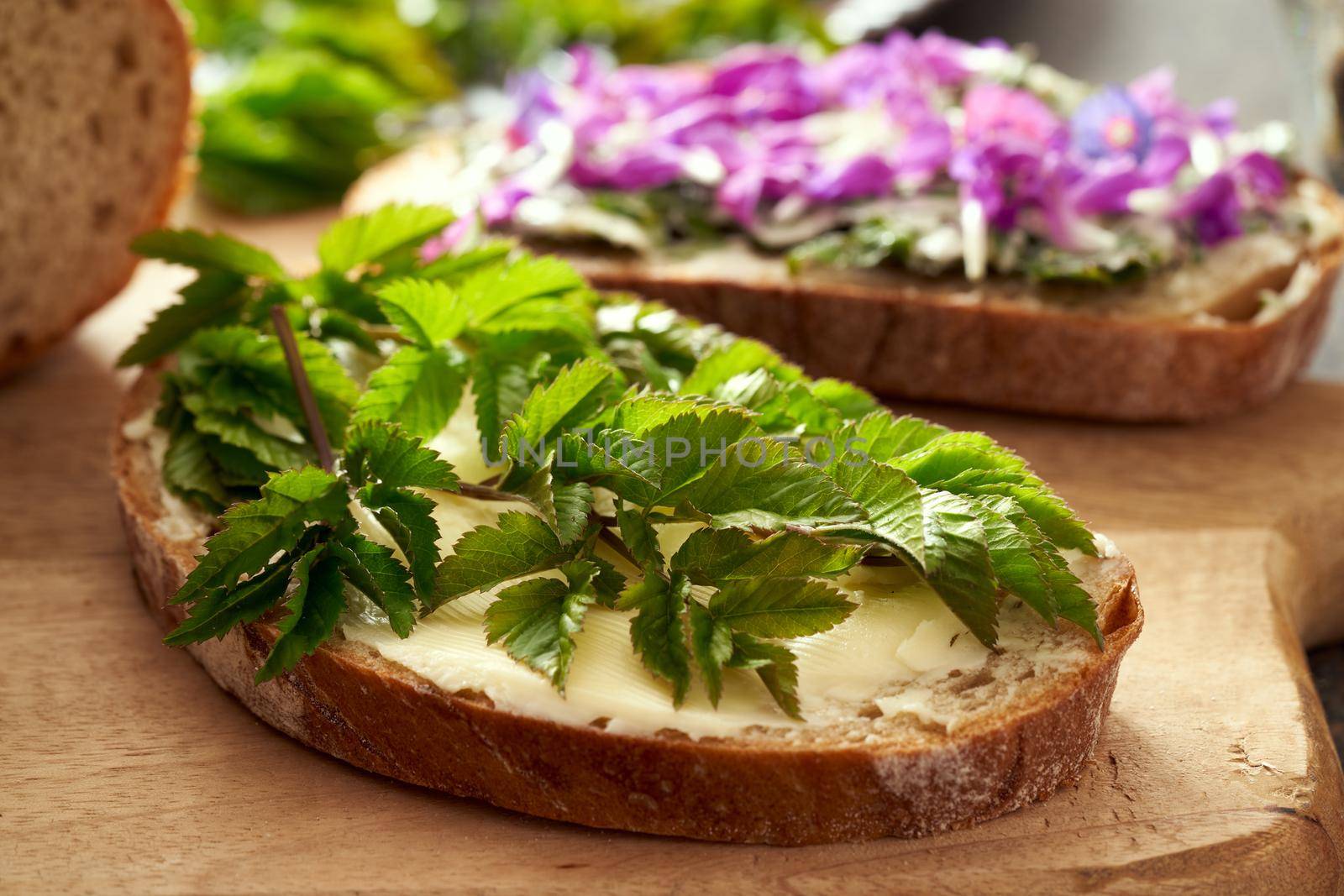 A slice of bread with young ground elder leaves - a wild edible plant , with bread with purple dead-nettle flowers in the background by madeleine_steinbach