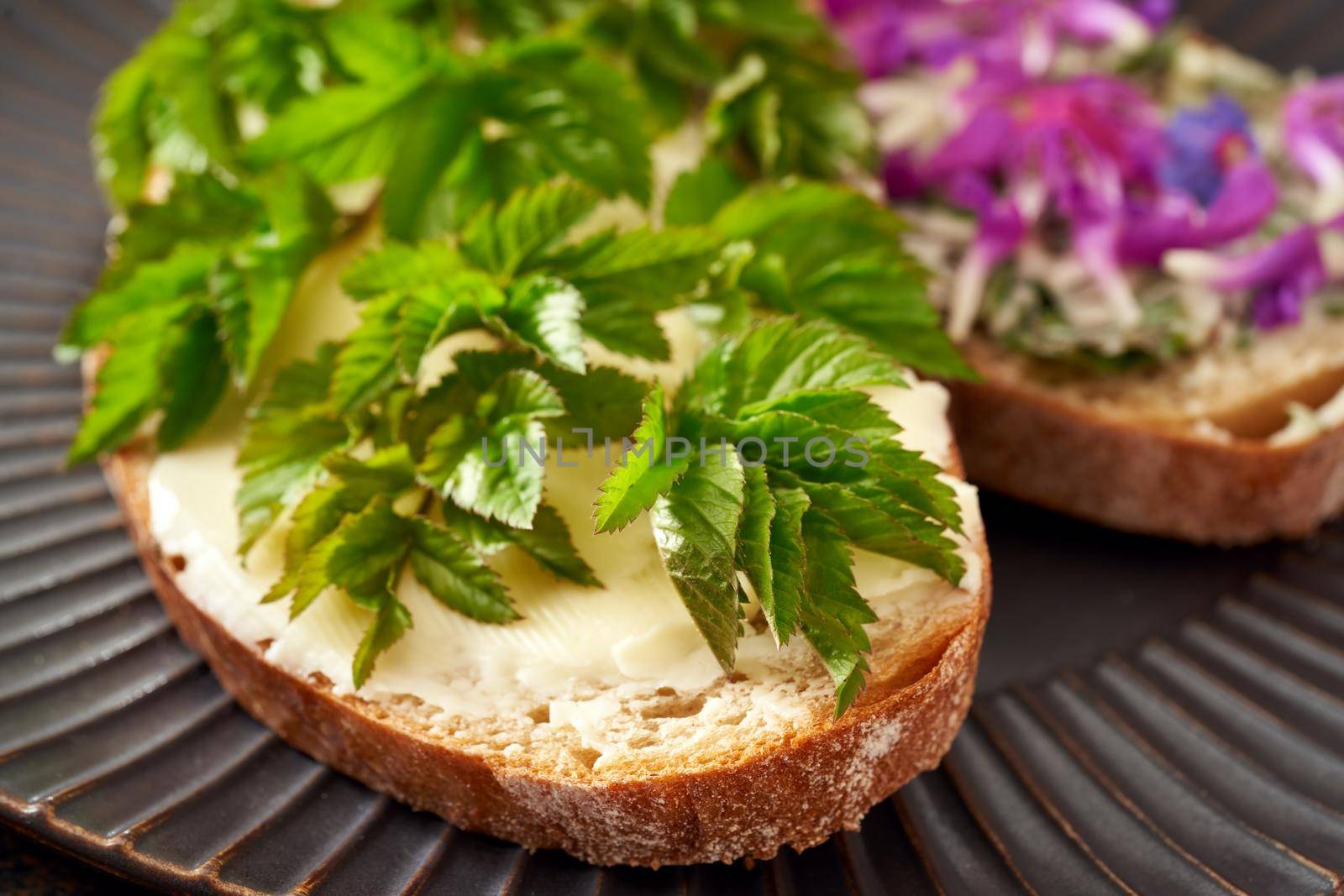 Slices of sourdough bread with butter and wild edible spring plants - goutweed , purple dead-nettle and lungwort by madeleine_steinbach