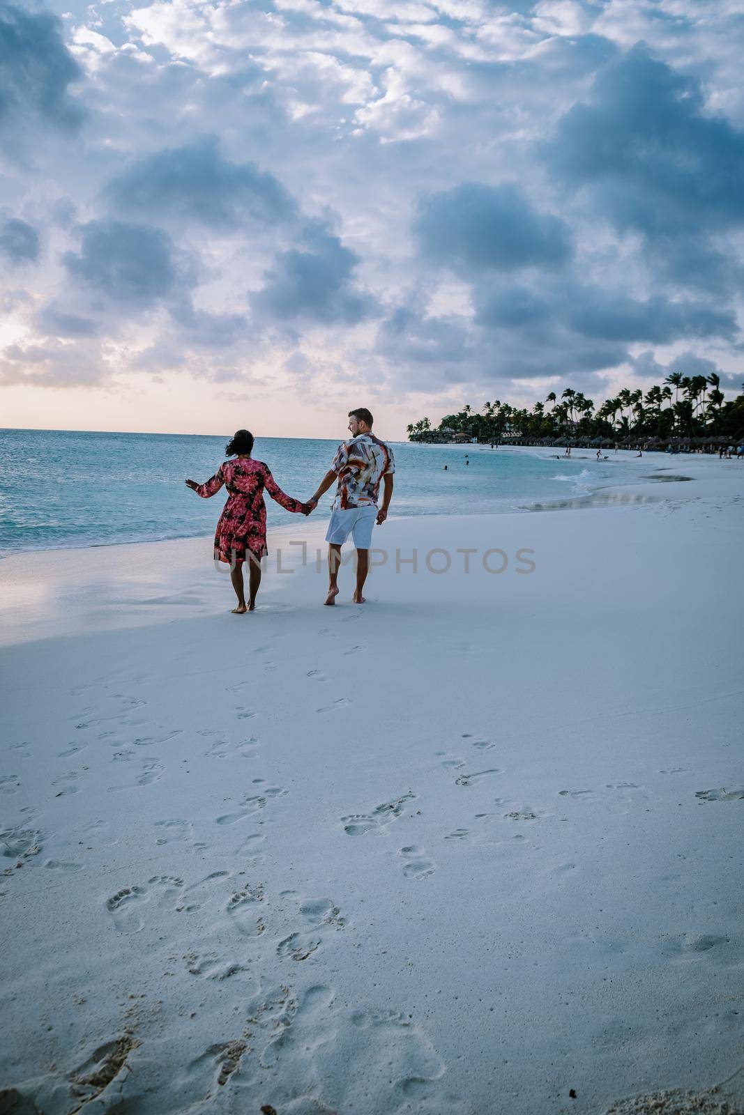 Palm beach Aruba, Amazing tropical beach with palm tree entering the ocean against azur ocean, gold sand and blue sky by fokkebok