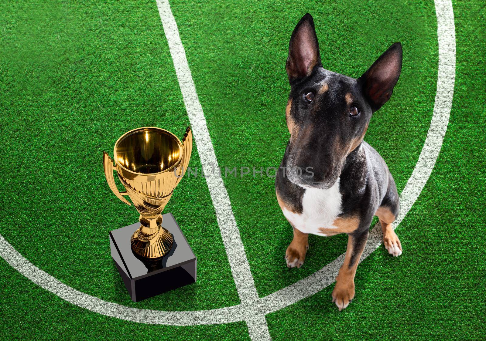 soccer player dog by Brosch