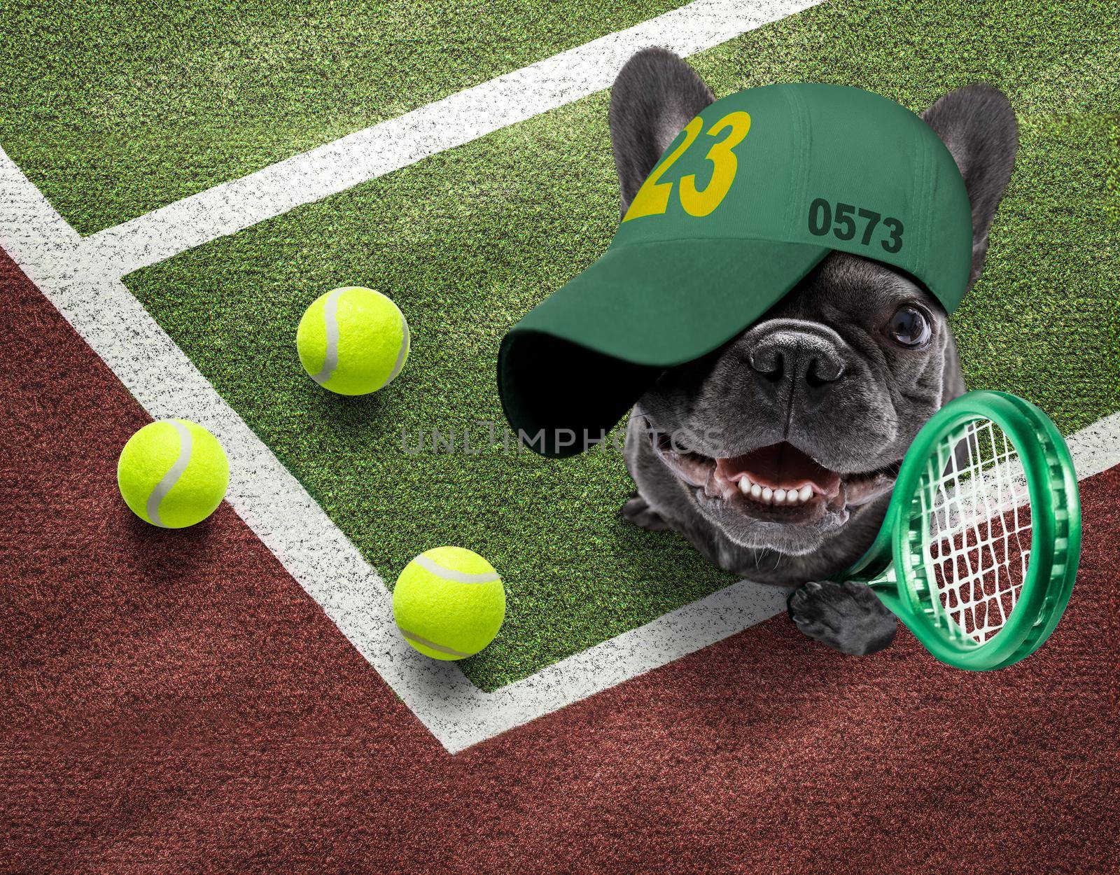 player sporty french bulldog dog on tennis field court with balls, ready for a play or game