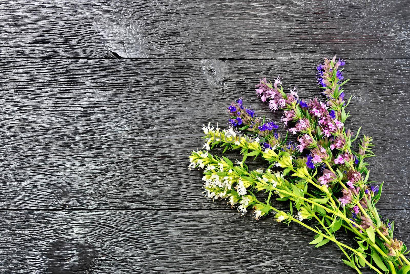 Bunch of fresh savory with flowers on a black wooden board background