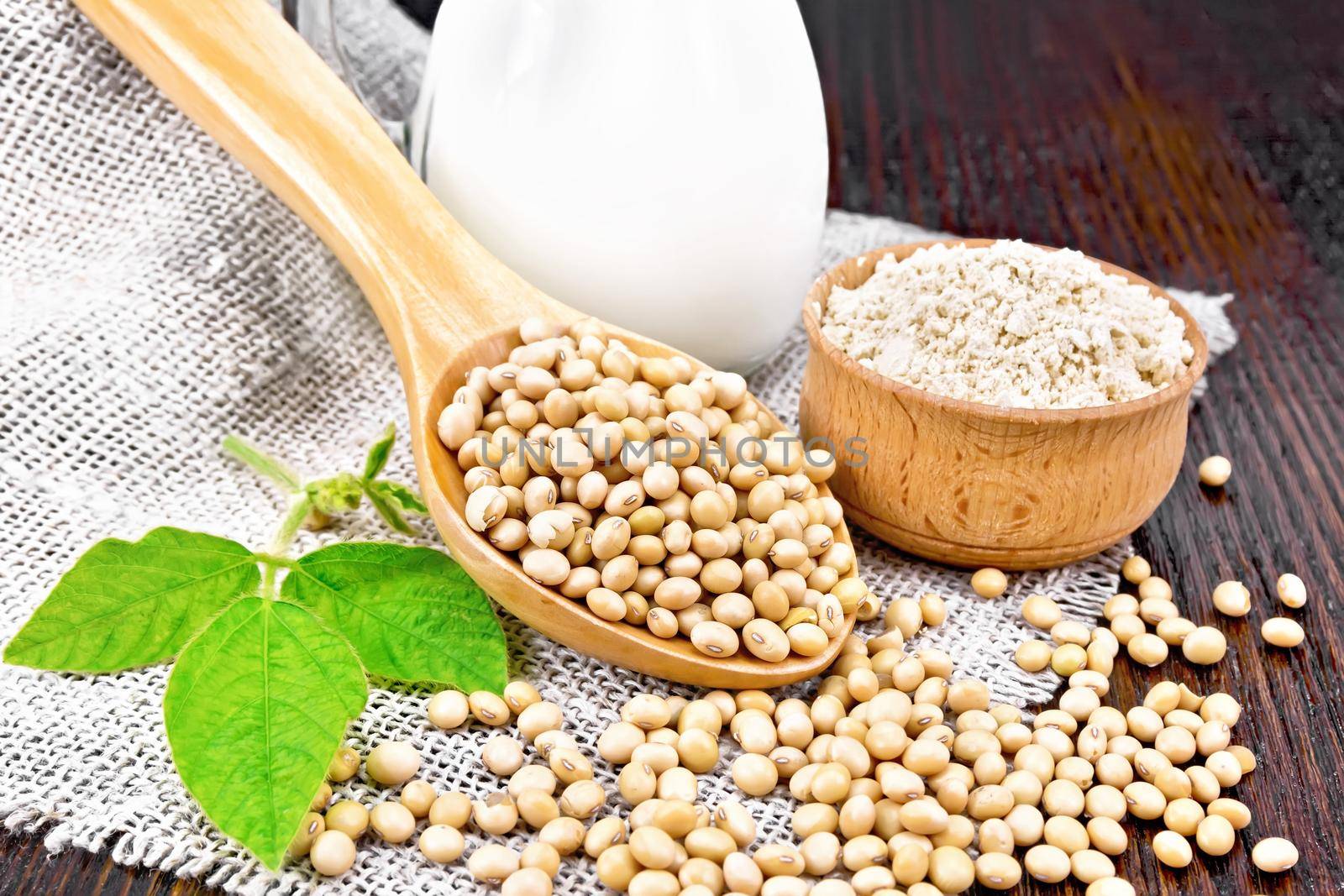 Soy beans in a spoon, milk in a jug, flour in a bowl and a green leaf on burlap on wooden board background