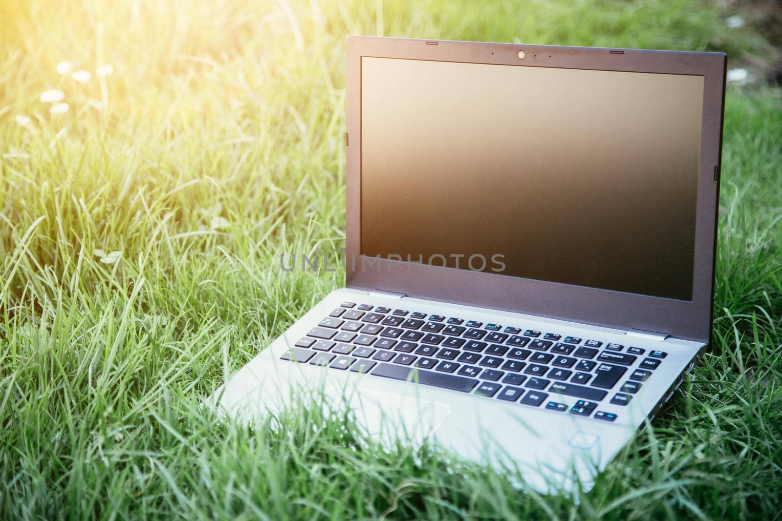 Close up of laptop lying in the green grass, studying and learning outdoors in the park