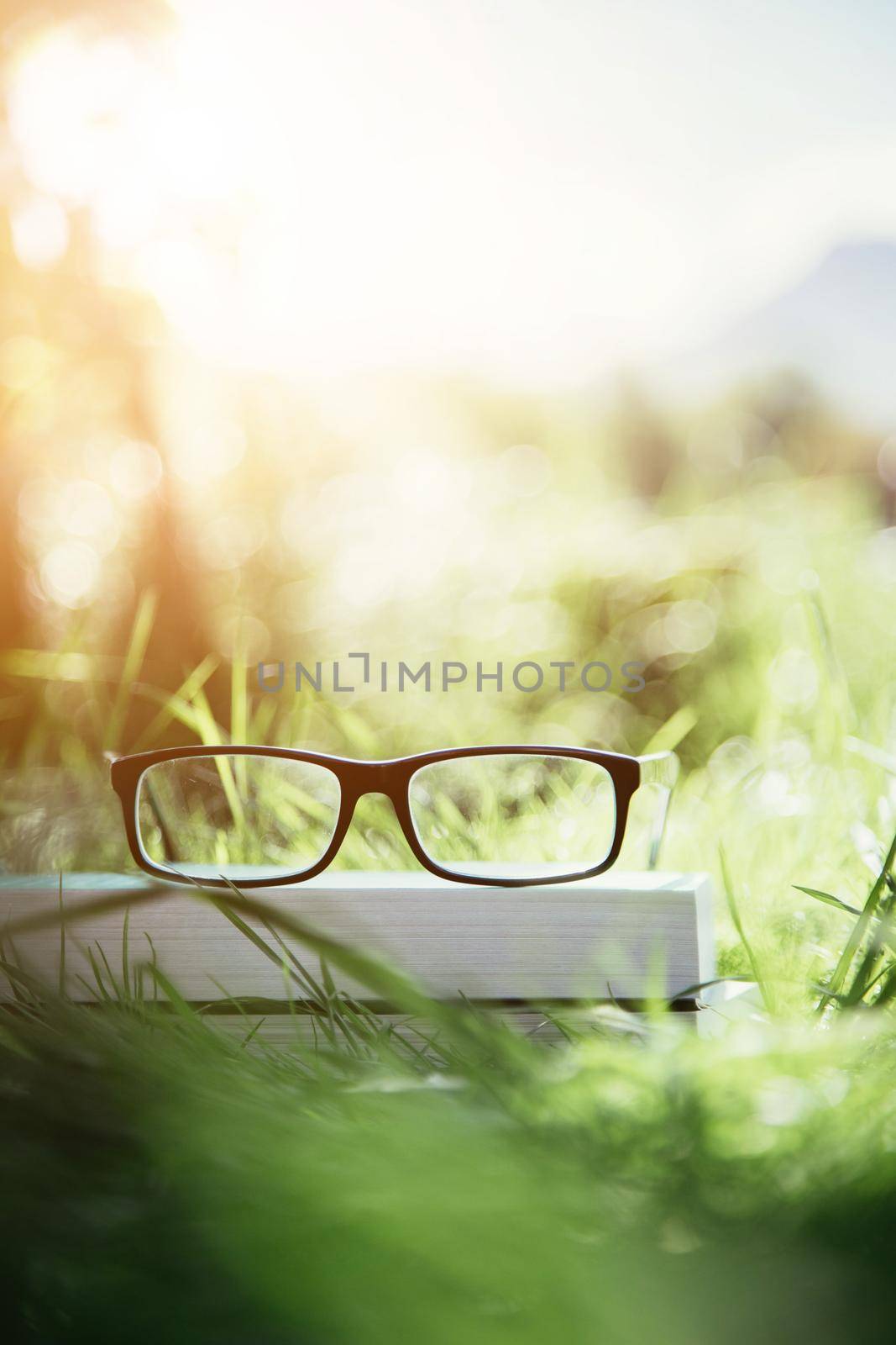 Black glasses and book outdoors in the park, summer time