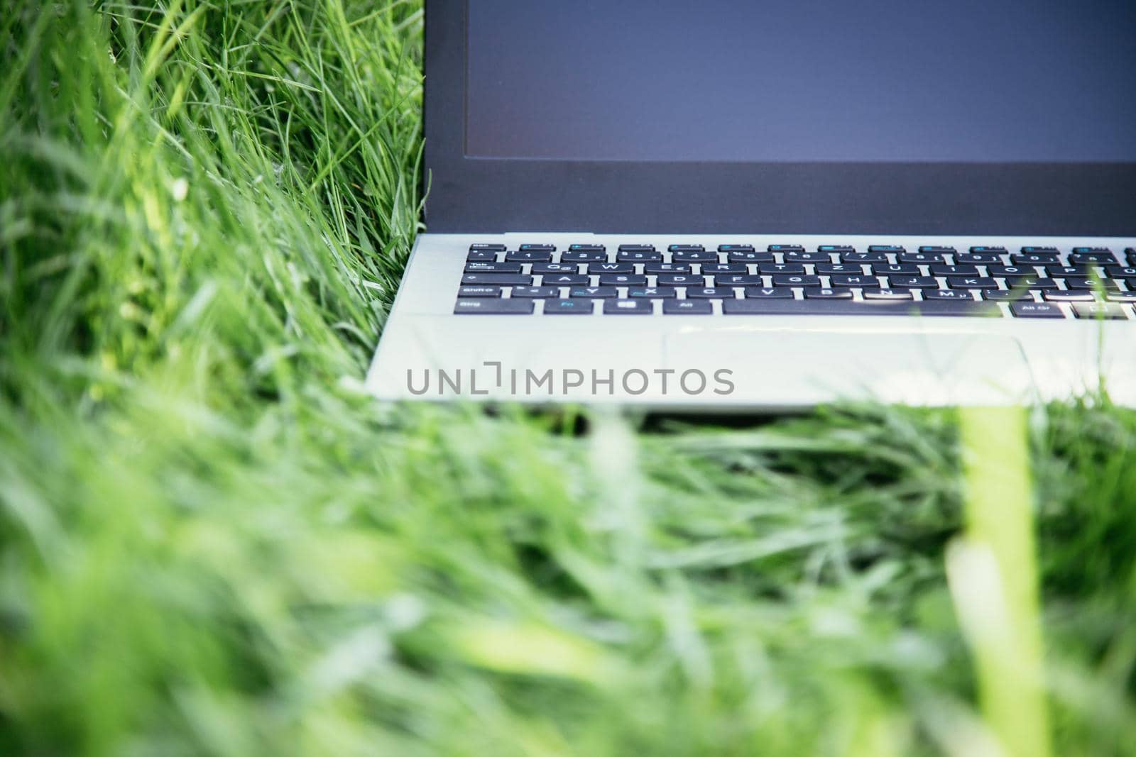 Close up of laptop lying in the green grass, studying and learning outdoors in the park